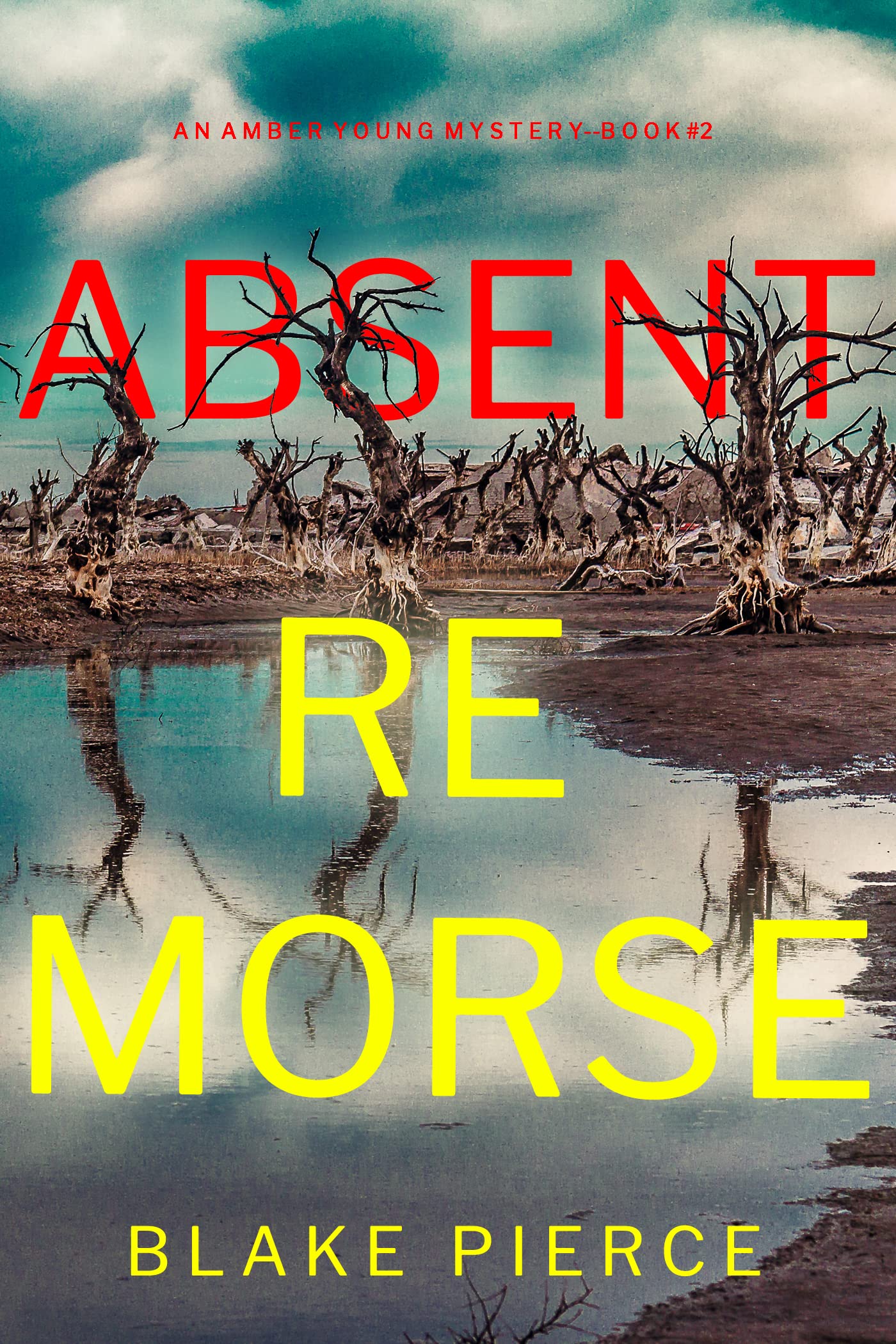 Amber Young book cover 2