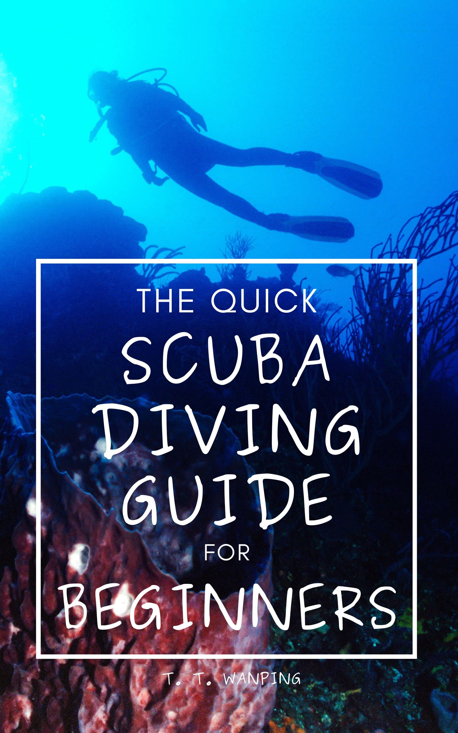 The Quick Scuba Diving Guide For Beginners All The Basics You'll Need