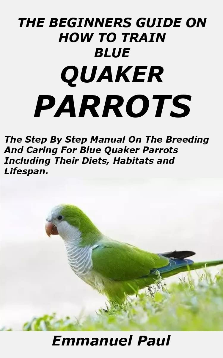 THE BEGINNERS GUIDE ON HOW TO TRAIN BLUE QUAKER PARROTS The Step By