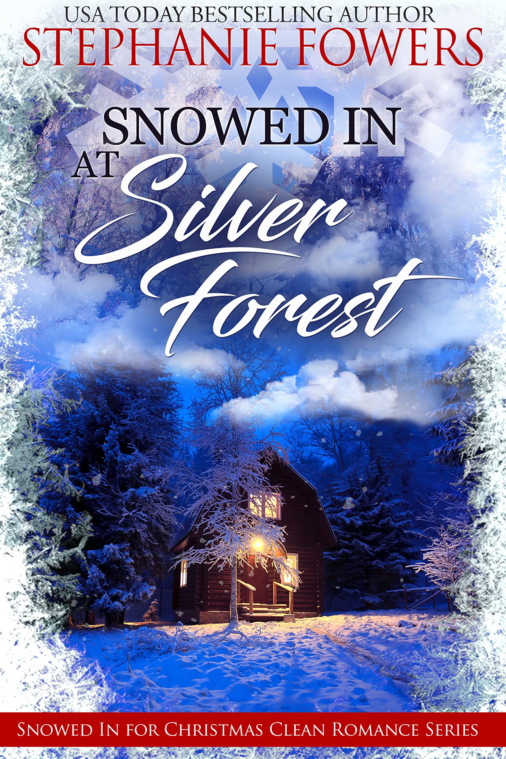 Snowed in at Silver Forest book cover