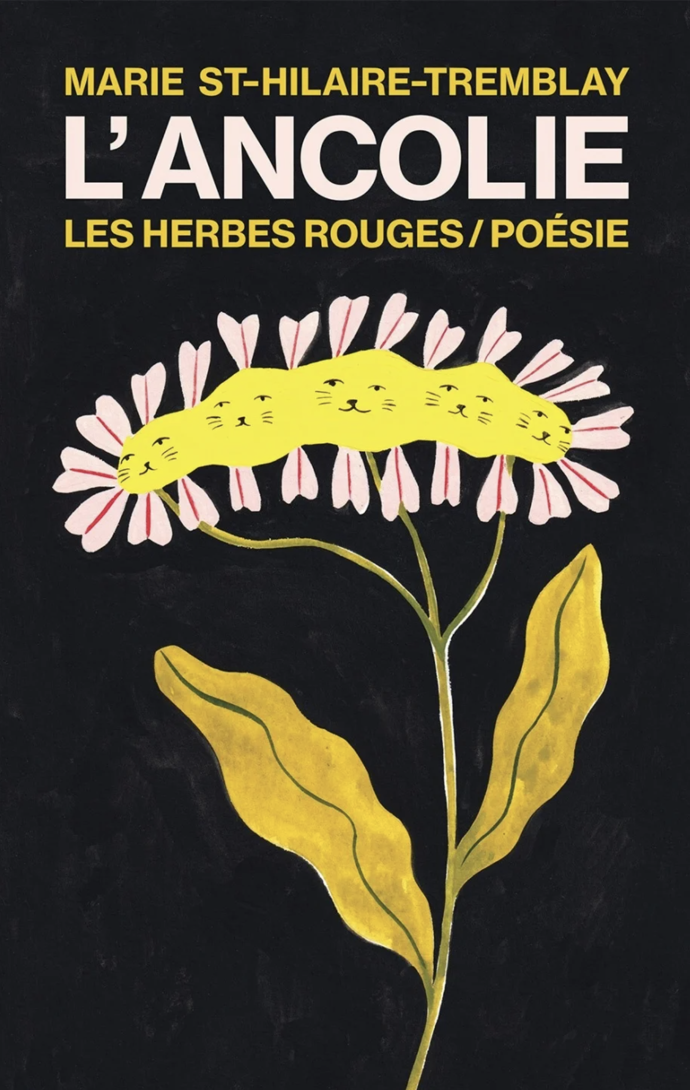 L'ancolie