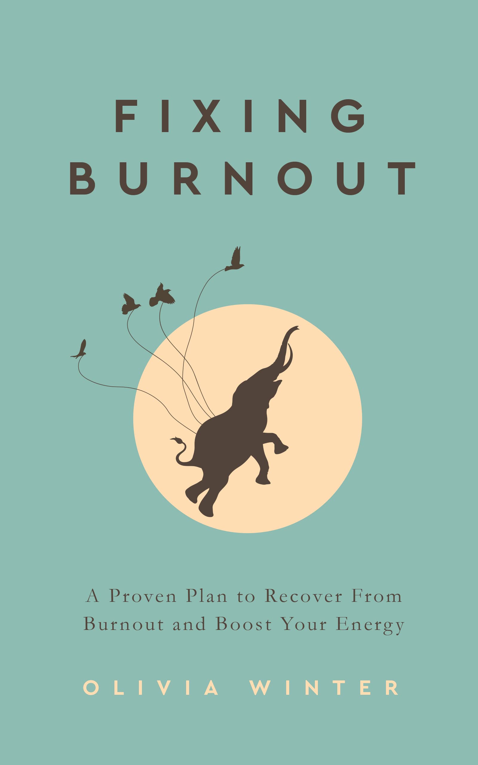 Fixing Burnout A Proven Plan to Recover From Burnout and Boost Your