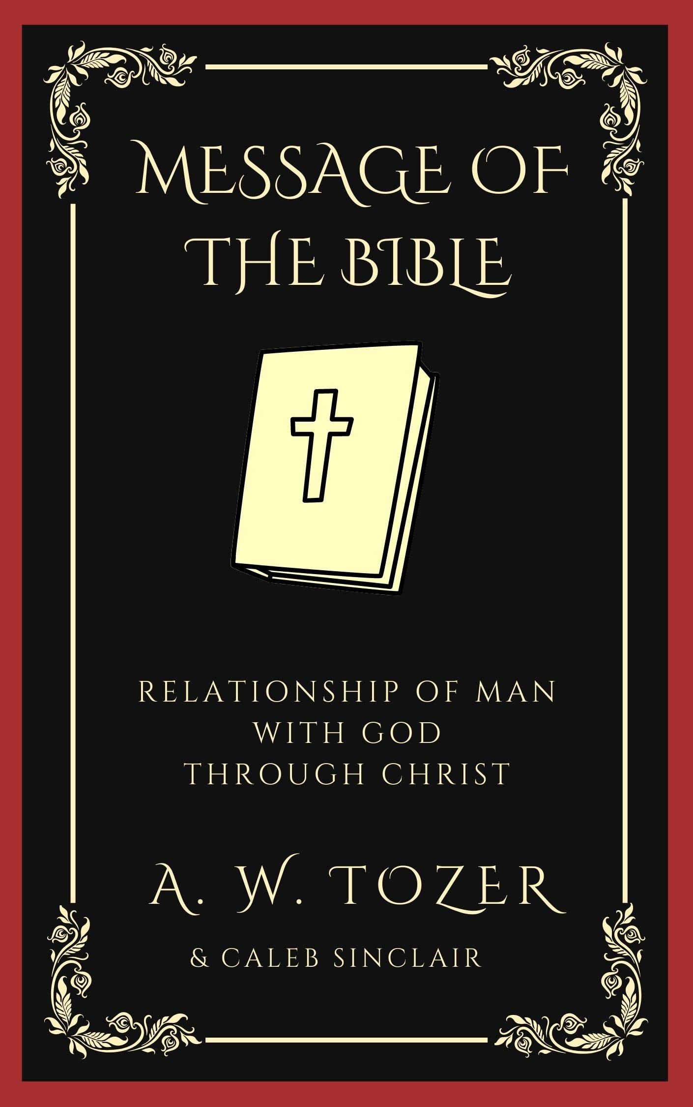 The Message of the Bible: Understanding Humanity's Relationship with God Through Christ's Redemption (Grapevine Edition)
