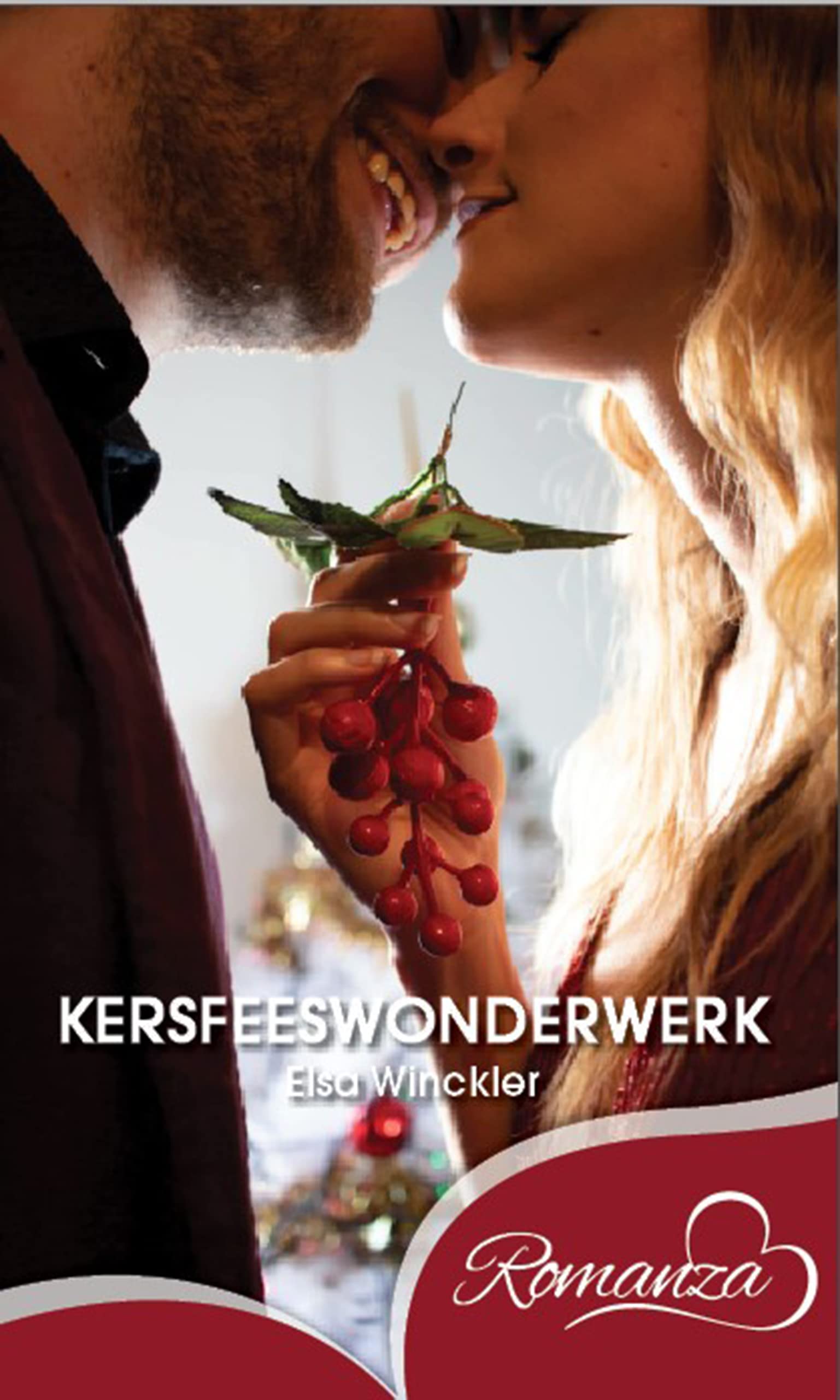 Kersfeeswonderwerk