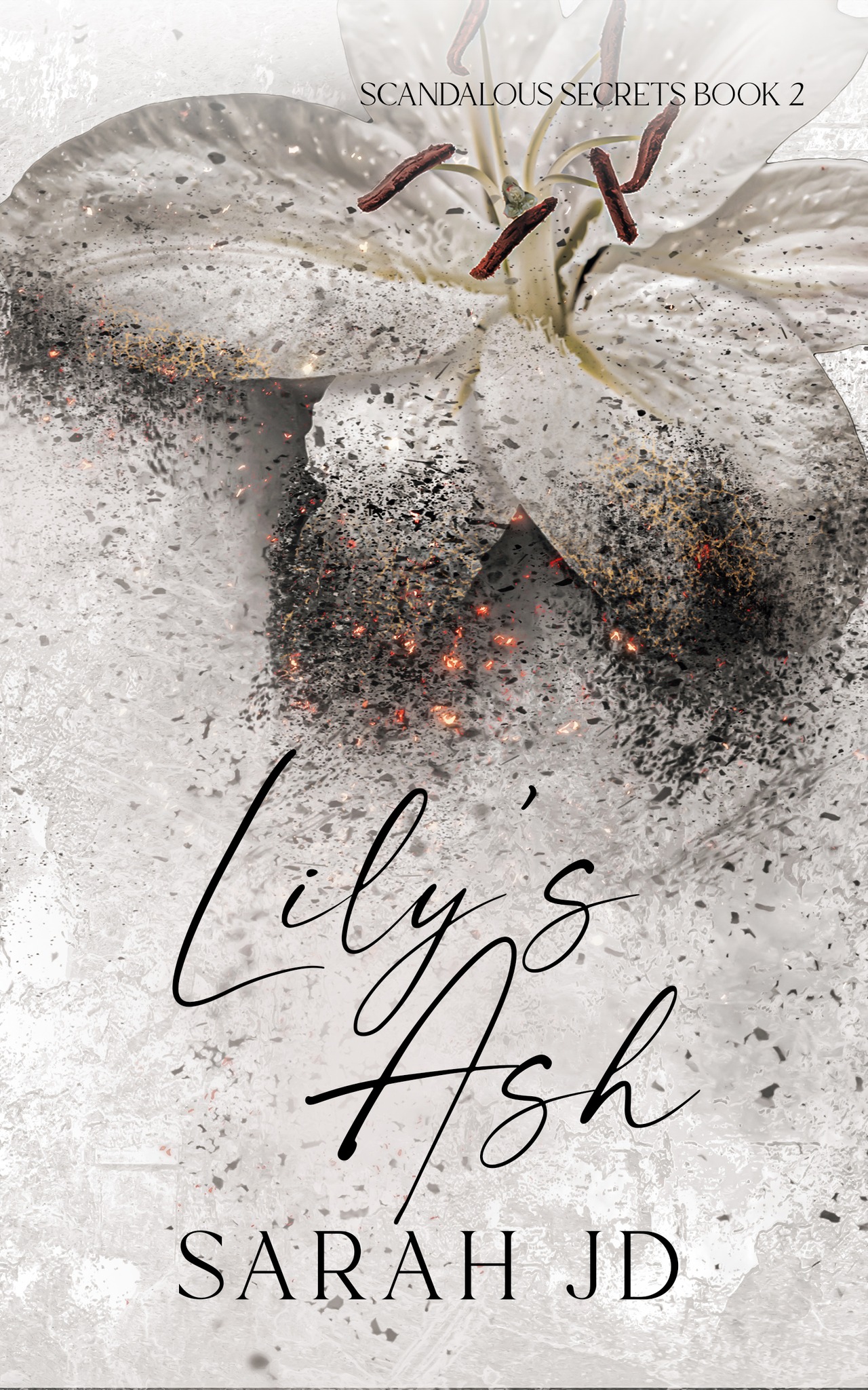 Scandalous Secrets book cover 2