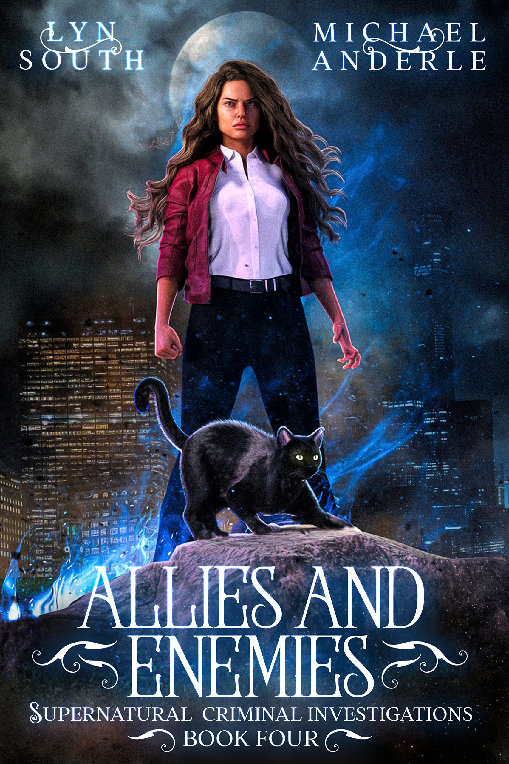 Allies and Enemies book cover