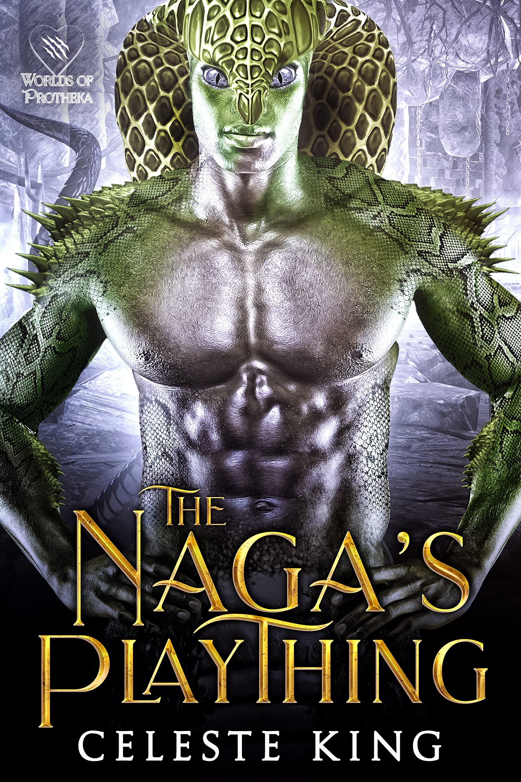 The Naga's Plaything book cover