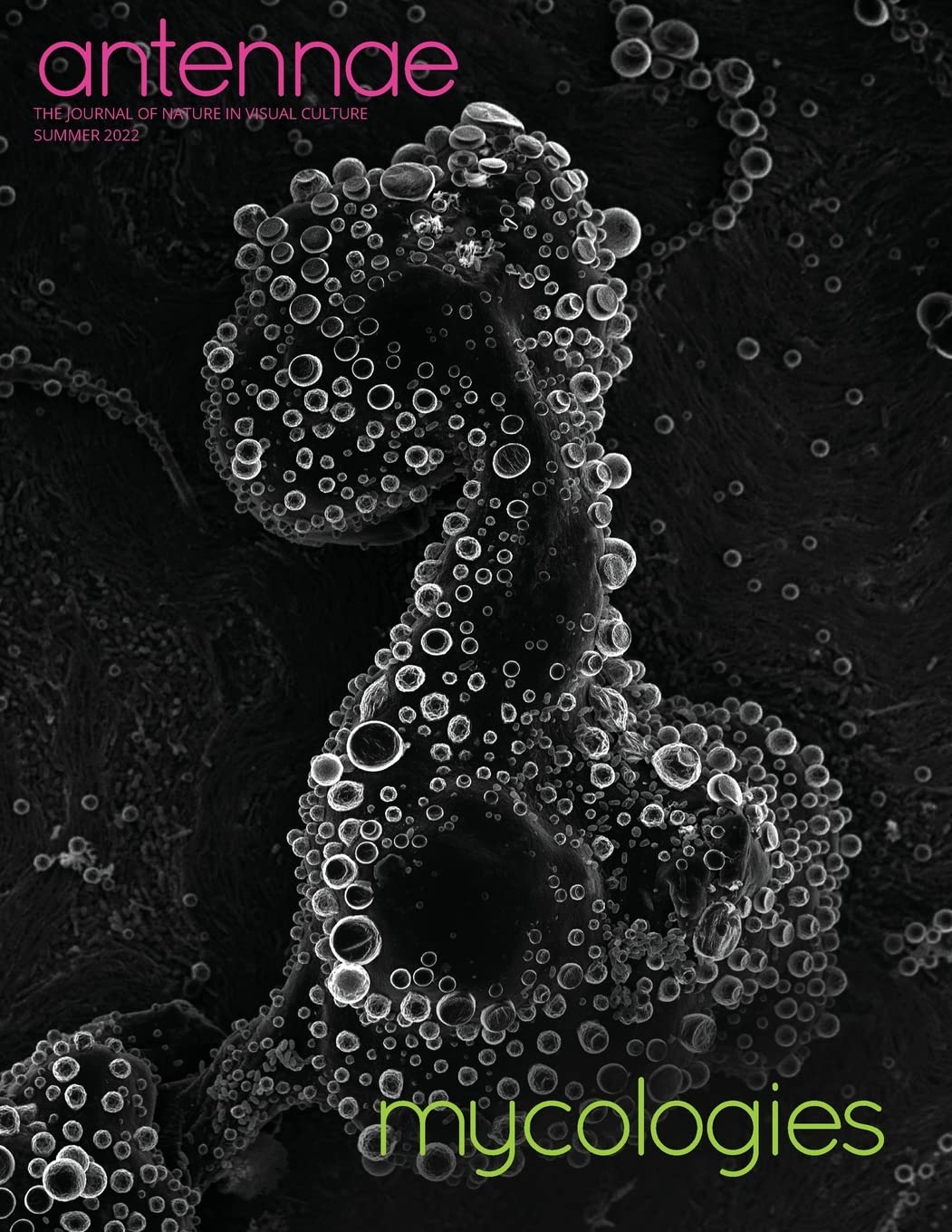 Antennae #58 Mycologies book cover