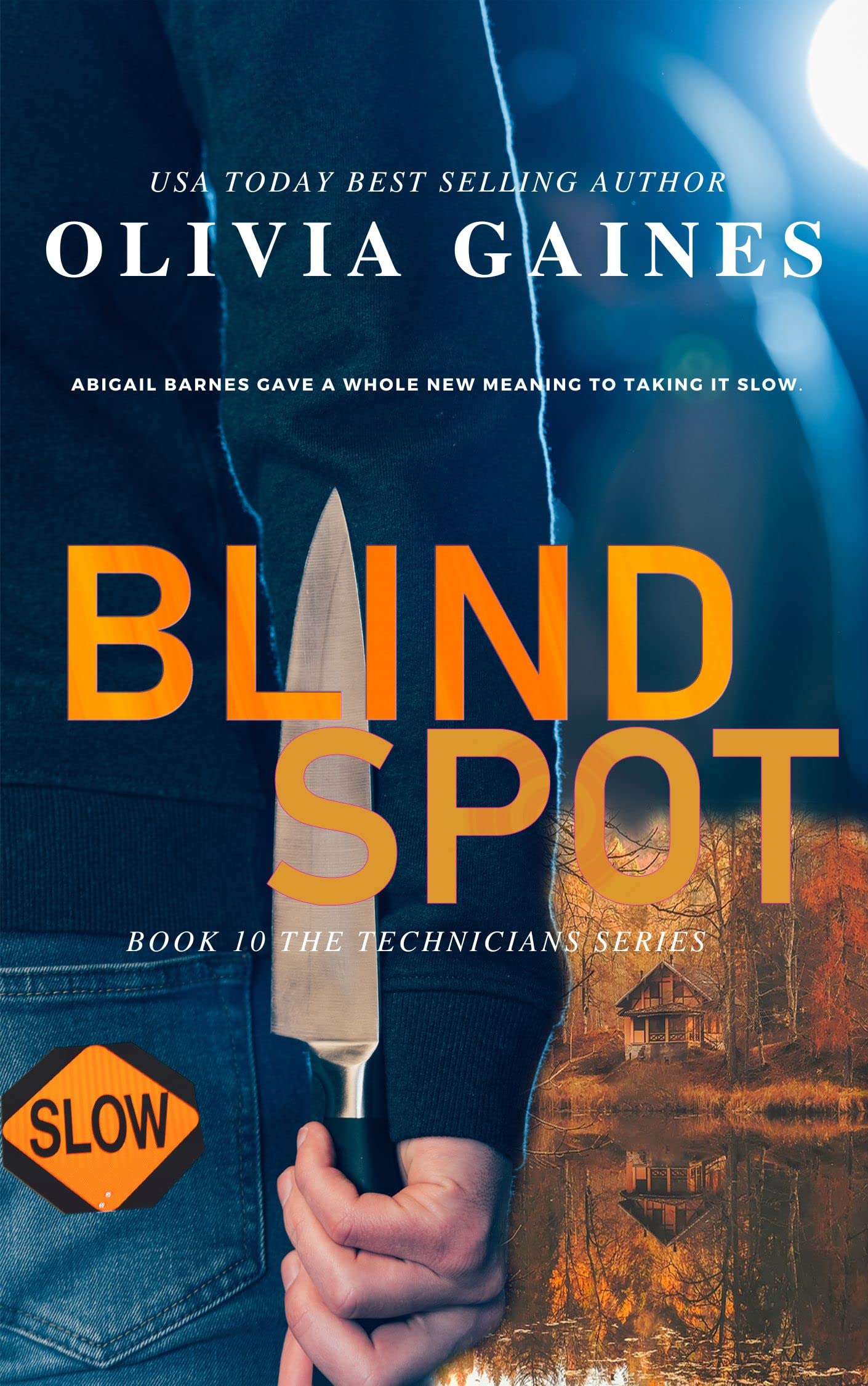 Blind Spot book cover