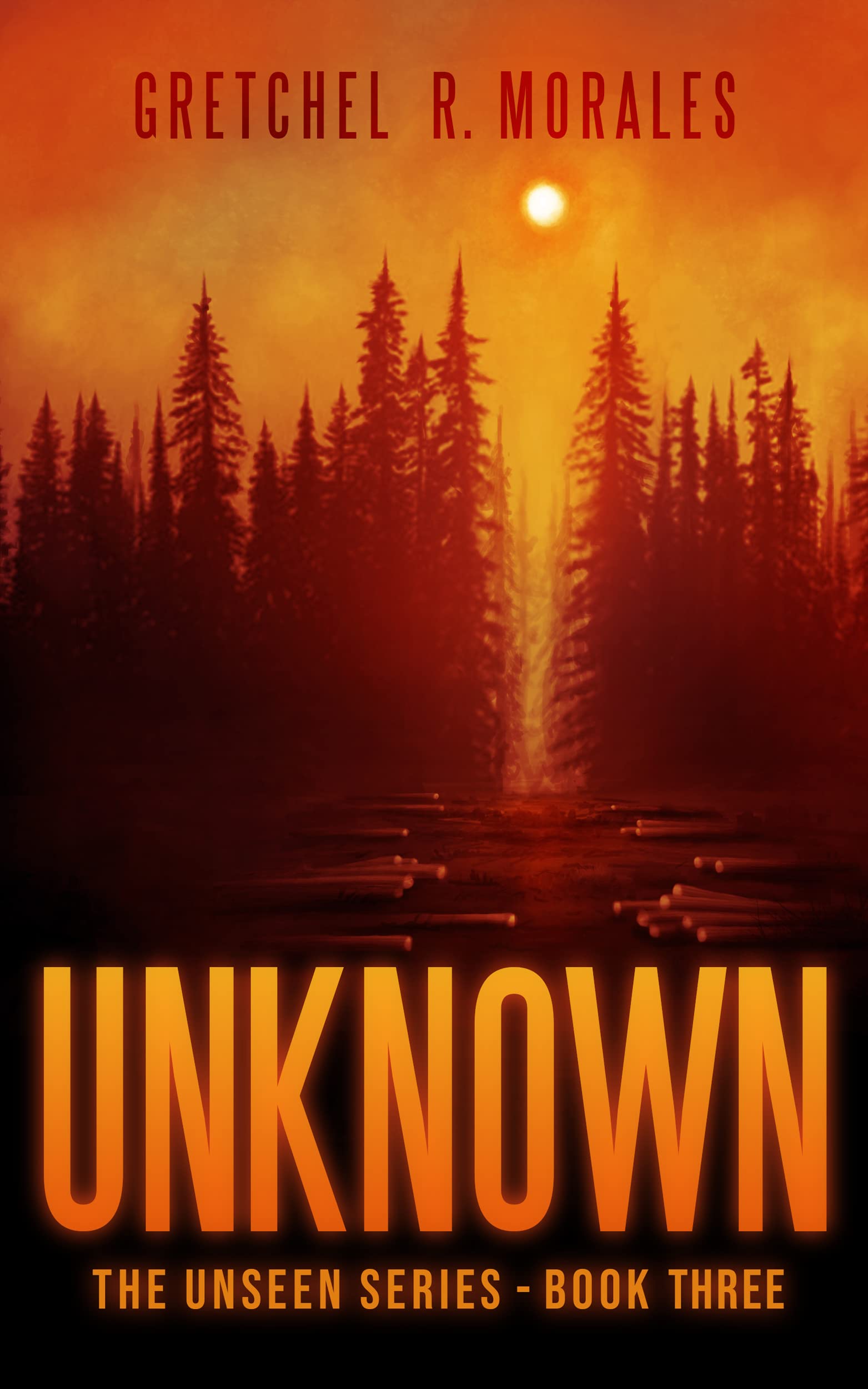 Unknown (The Unseen Series, 3) by Gretchel R. Morales Goodreads