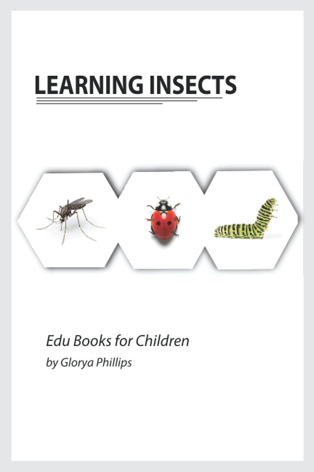 Learning Insects Montessori real insects book for babies and toddlers, bits of intelligence for