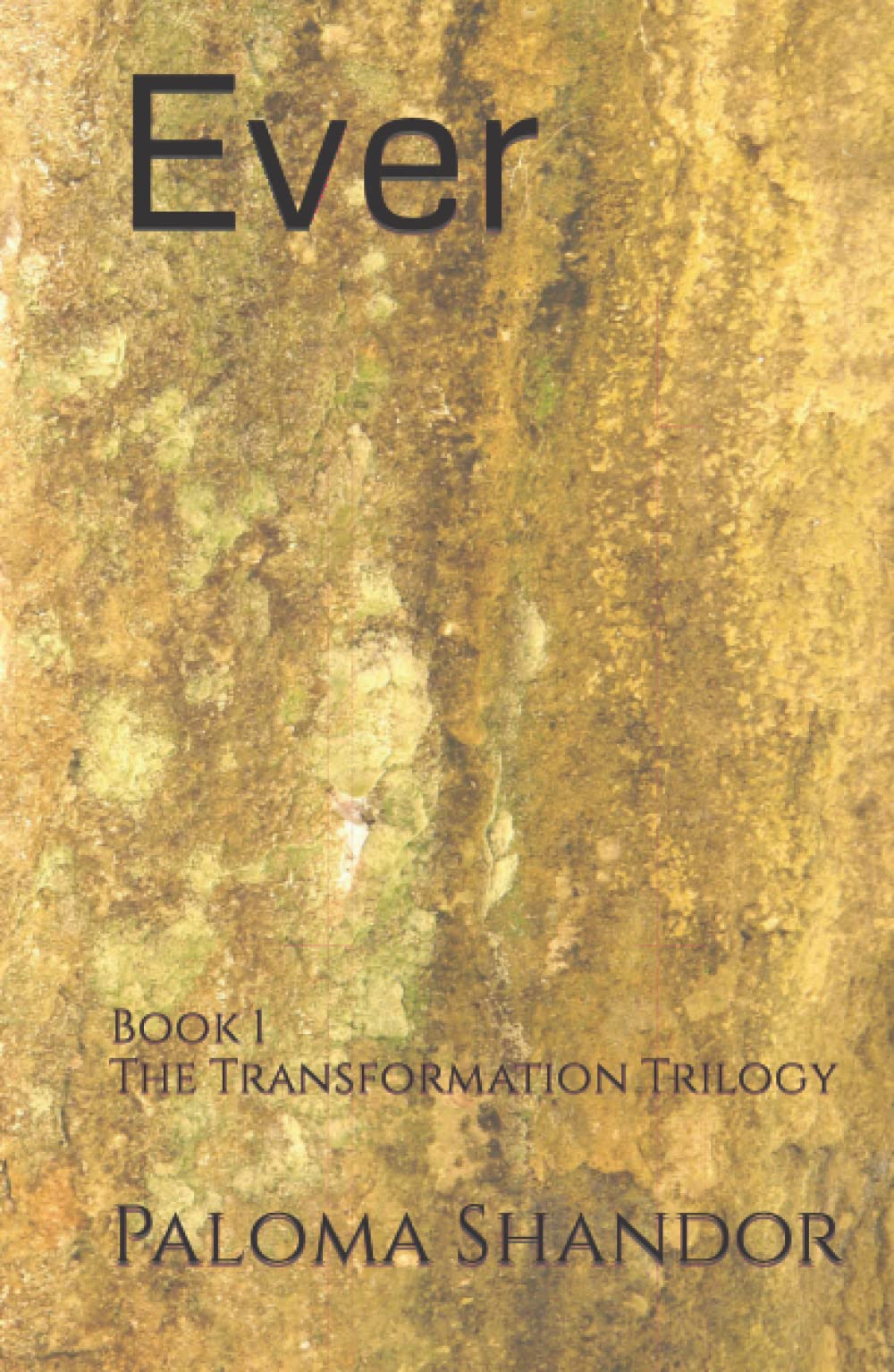 High Fantasy Novel Recommendations