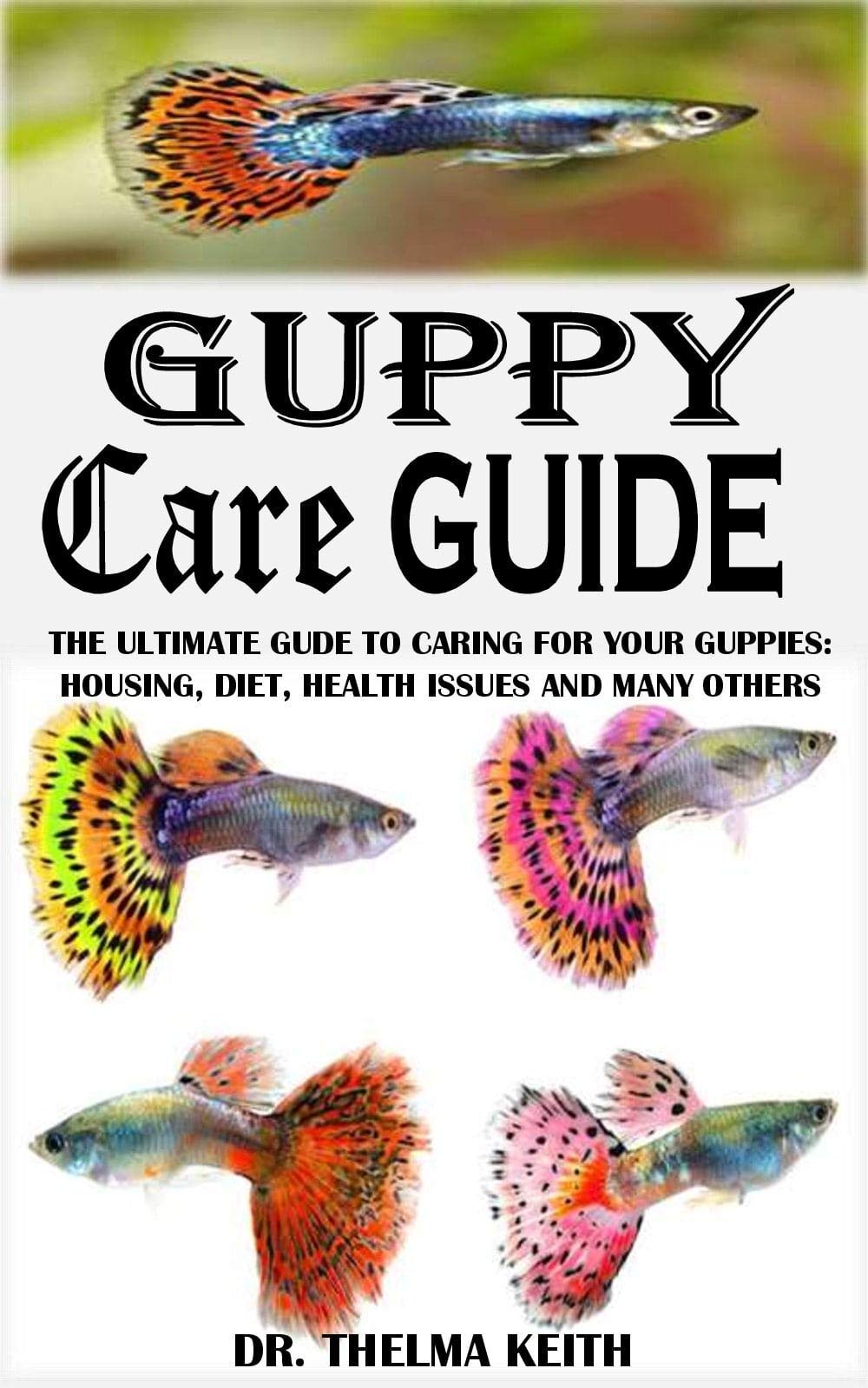 GUPPY CARE GUIDE The Ultimate Guide To Caring For Your Guppies