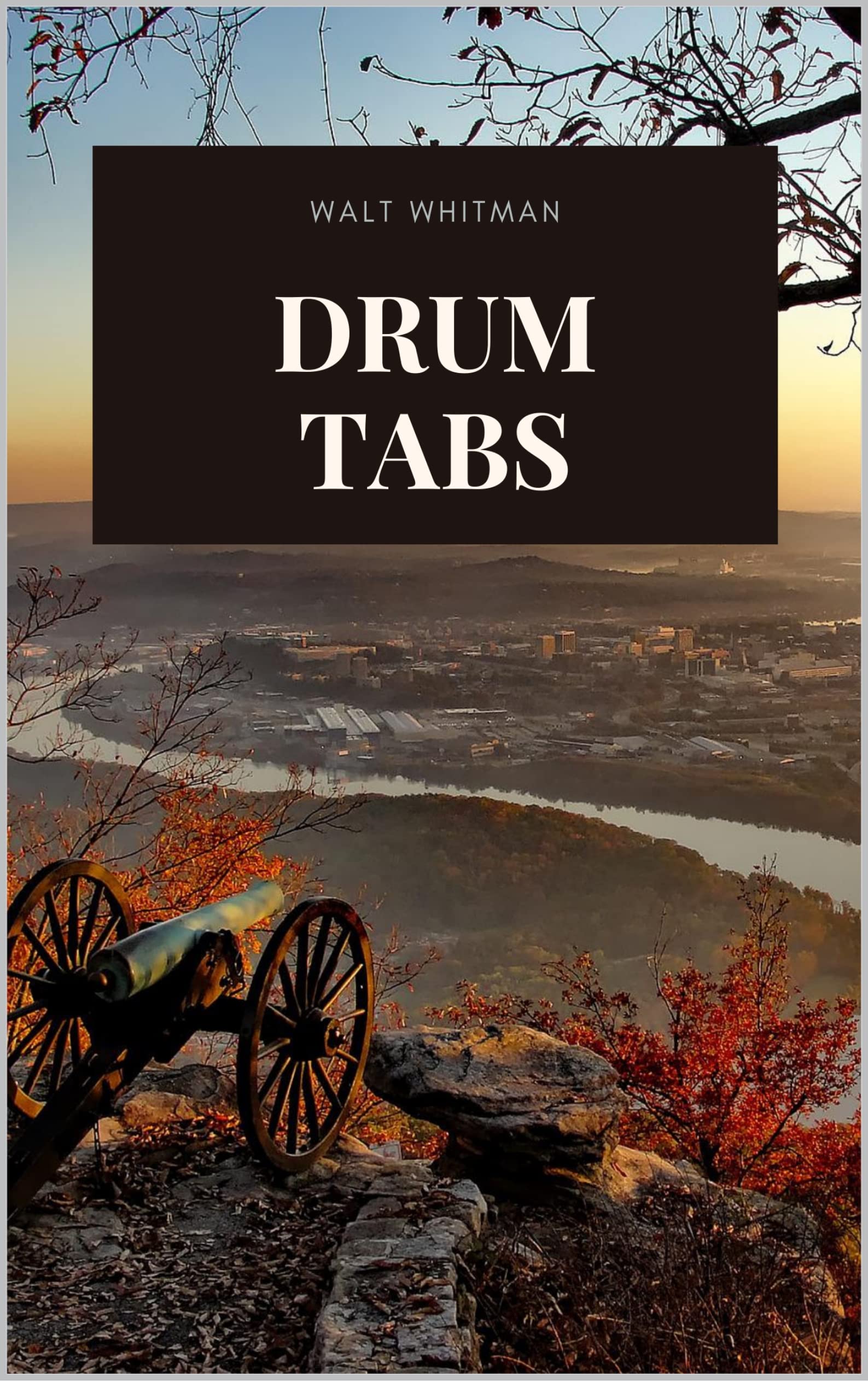 Drum Taps Masterpiece american civil war by Walt Whitman by Walt