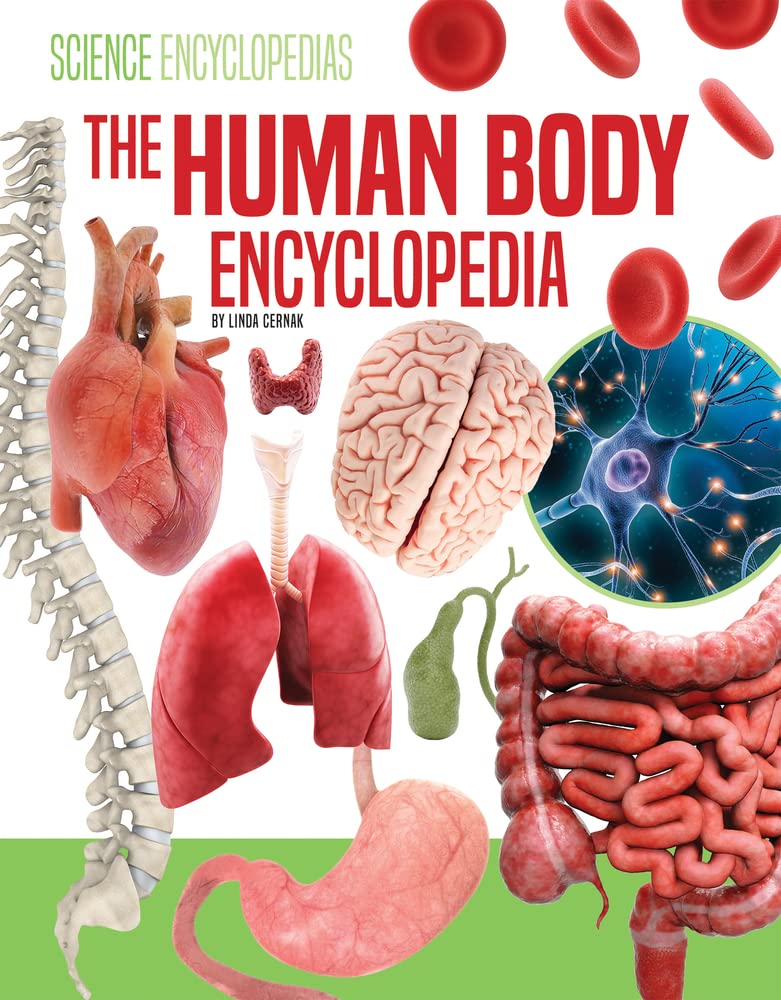 The Human Body Encyclopedia (Science Encyclopedias) by Linda Cernak Goodreads