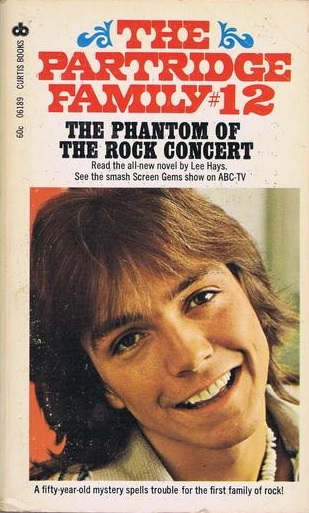The Partridge Family #12 book cover