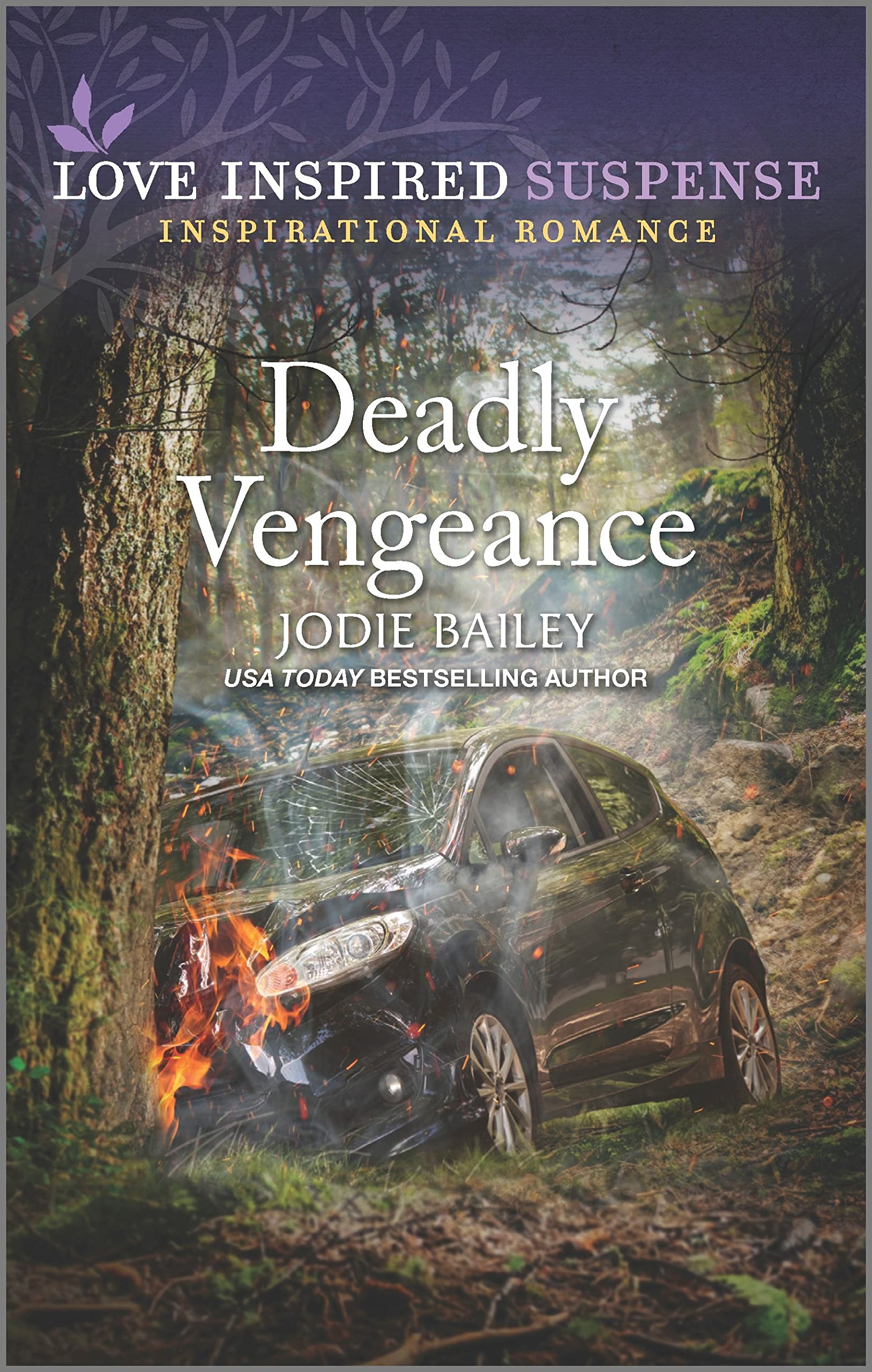 Deadly Vengeance book cover
