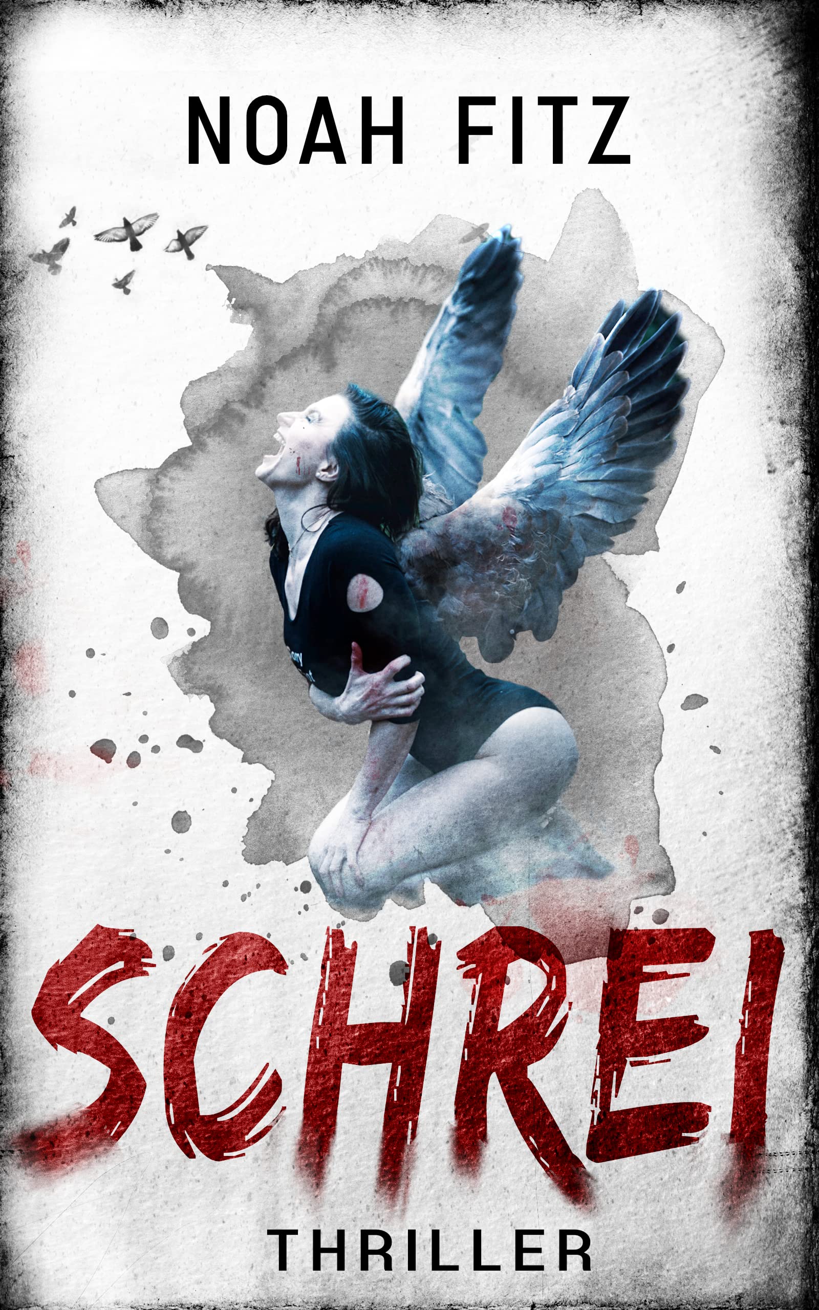Schrei ein Thriller von Noah Fitz