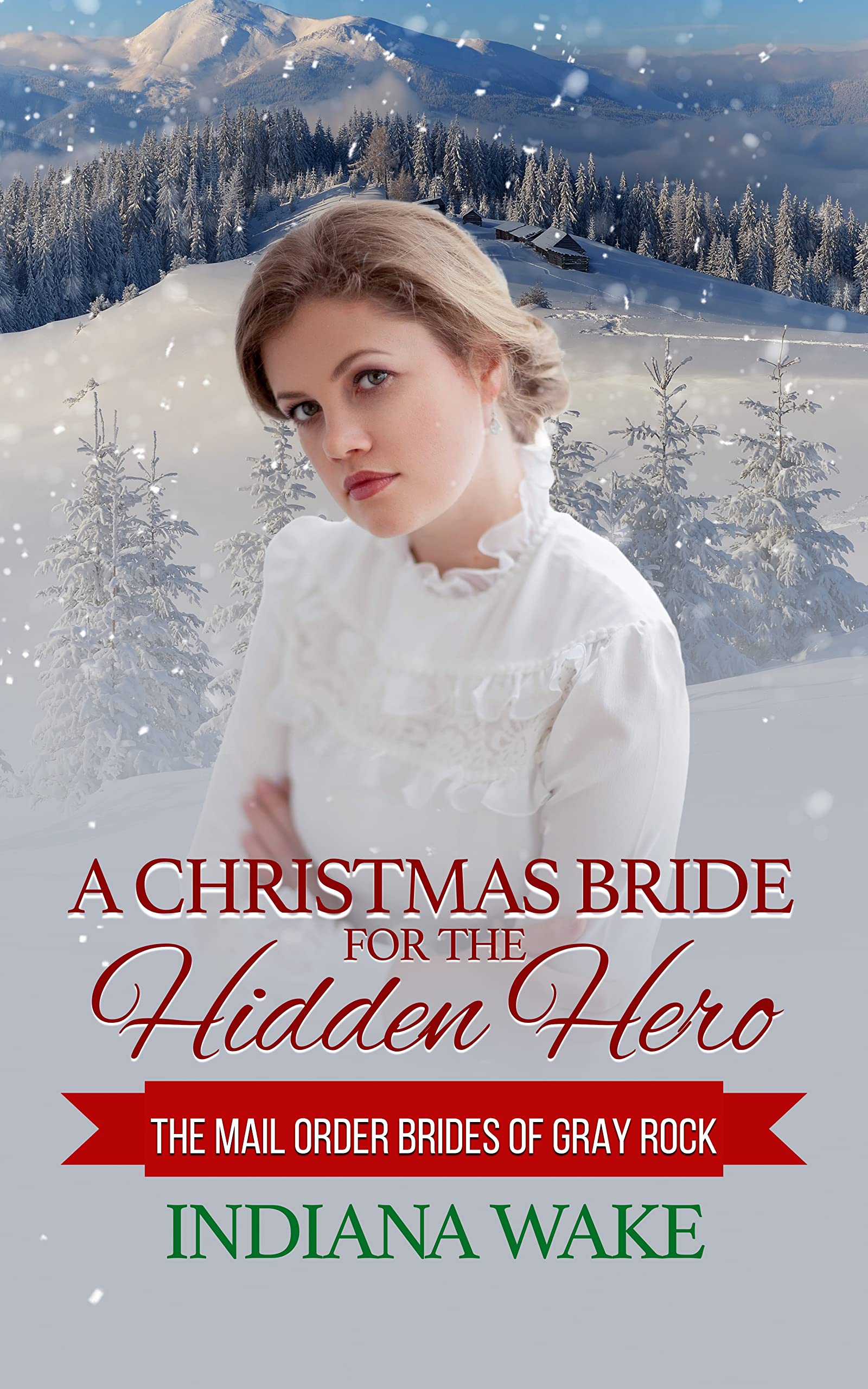 A Christmas Bride for the Hidden Hero book cover