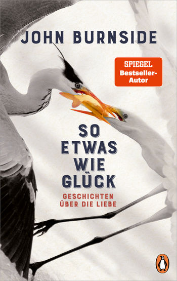 So etwas wie Glück book cover