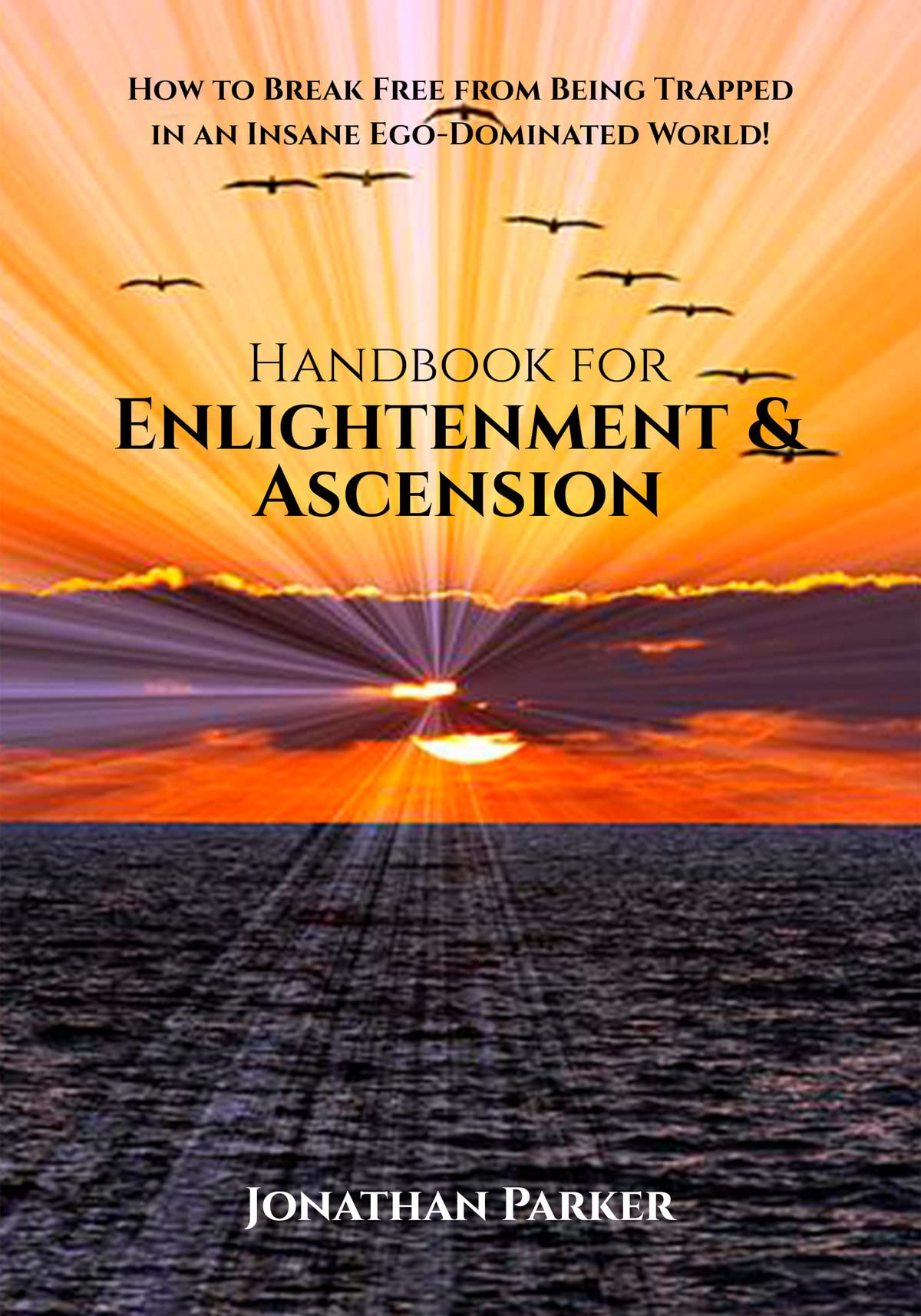 Handbook for Enlightenment & Ascension: How to Break Free from Being Trapped in an Insane Ego-Dominated World
