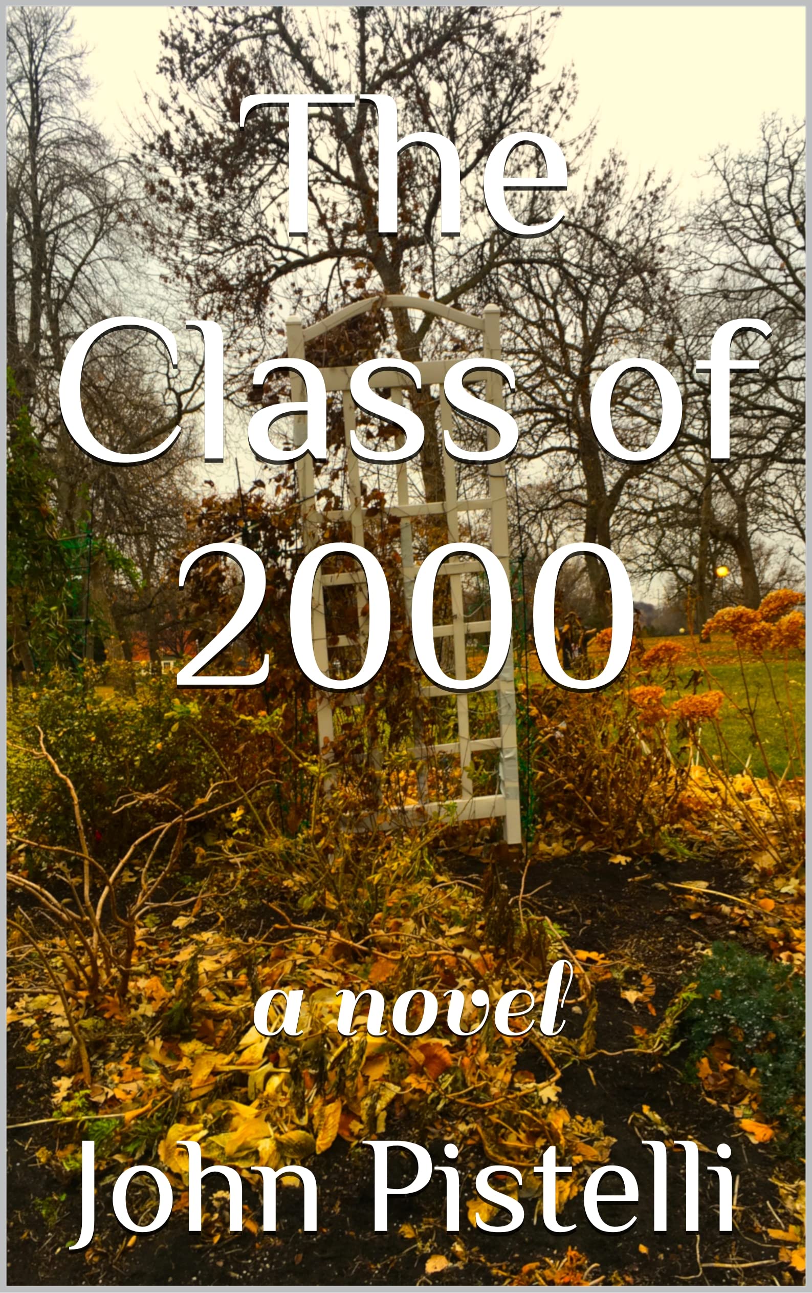 The Class of 2000 A Novel by John Pistelli Goodreads