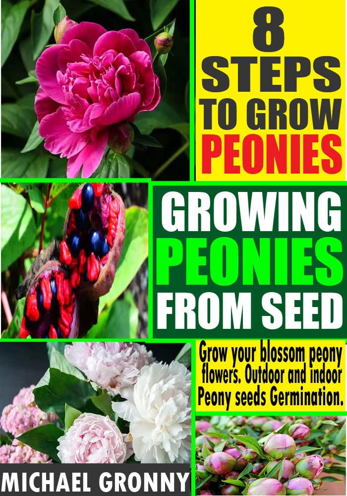 GROWING PEONIES FROM SEED Grow your Blossom Peony flowers, Outdoor and