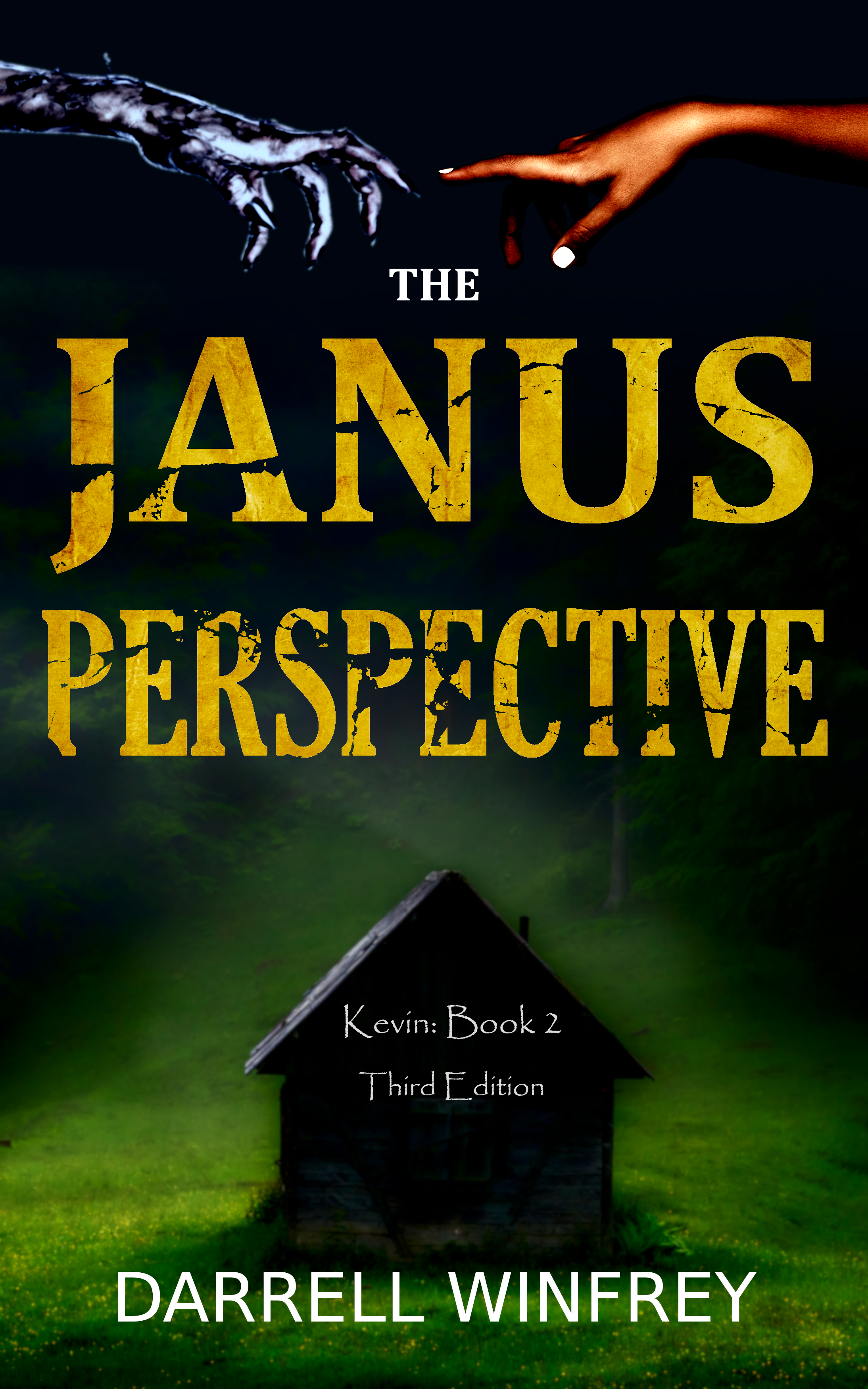 The Janus Perspective - Kevin: Book 2
