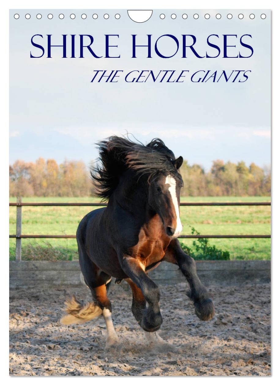 shire-horses-the-gentle-giants-wall-calendar-2023-din-a4-portrait