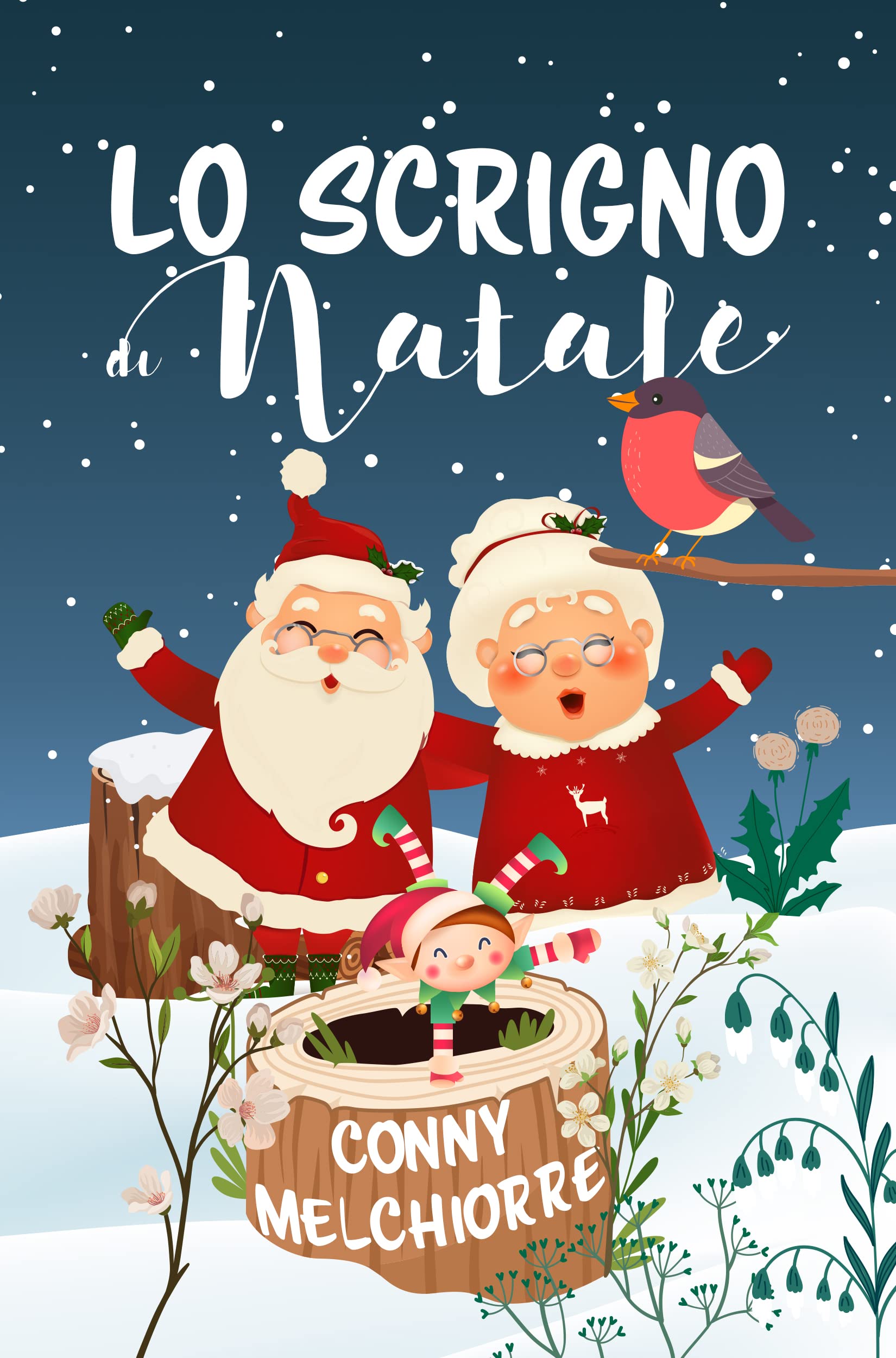 Lo scrigno di Natale