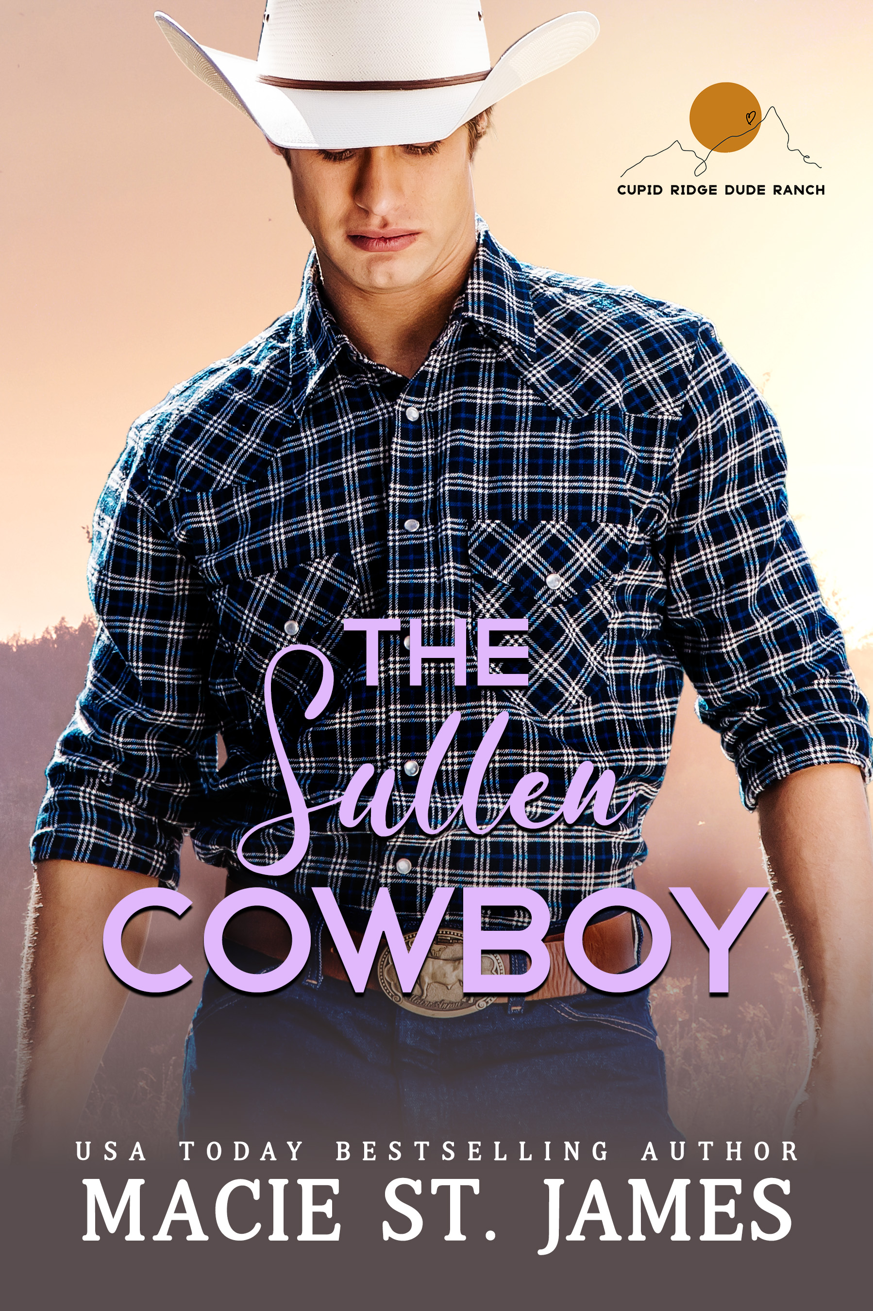 The Sullen Cowboy book cover