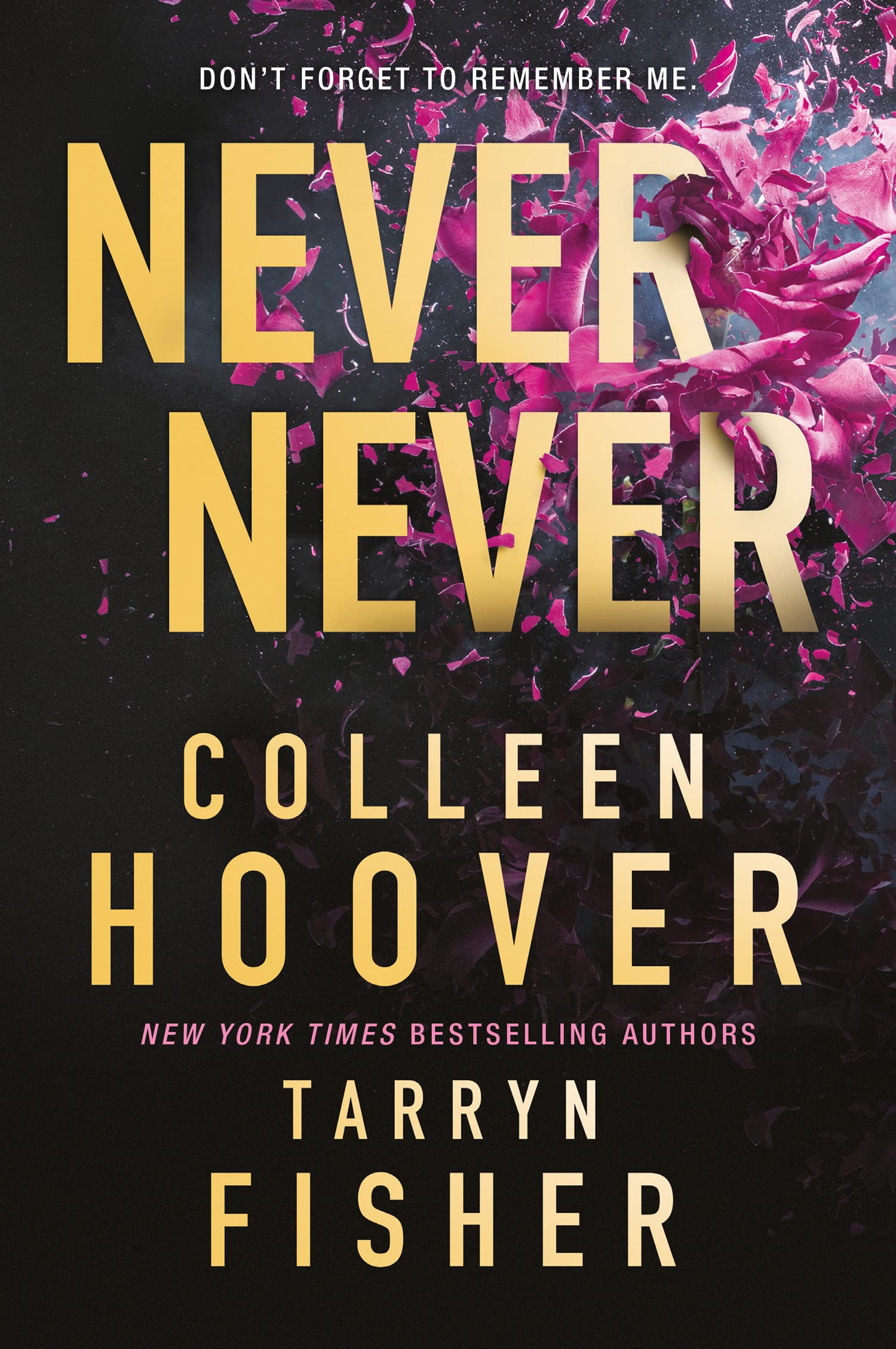 Never Never (Never Never, #1-3)