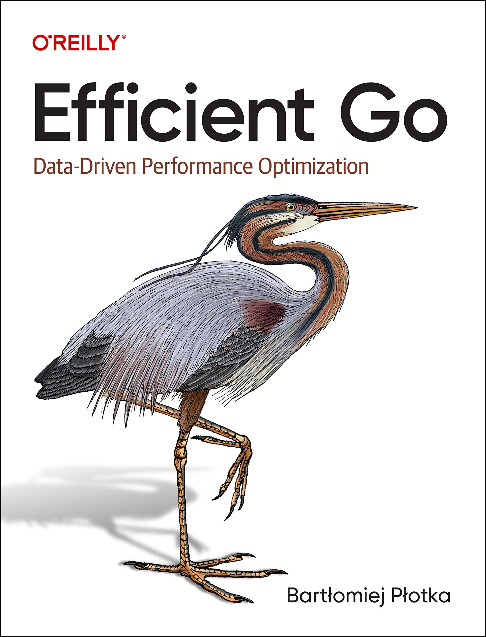 Efficient Go: Data-Driven Performance Optimization by Bartlomiej Plotka ...