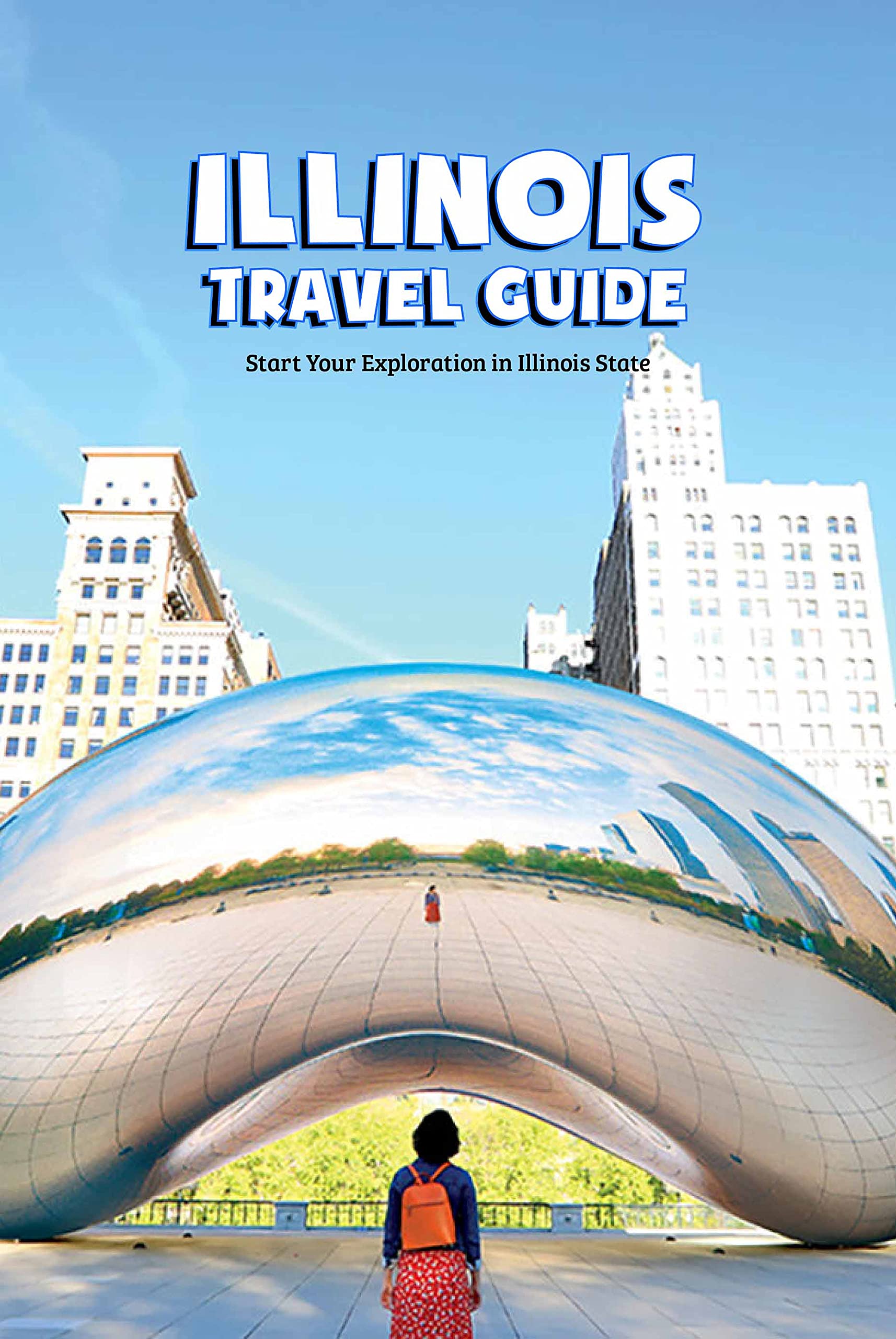 Illinois visual data 5