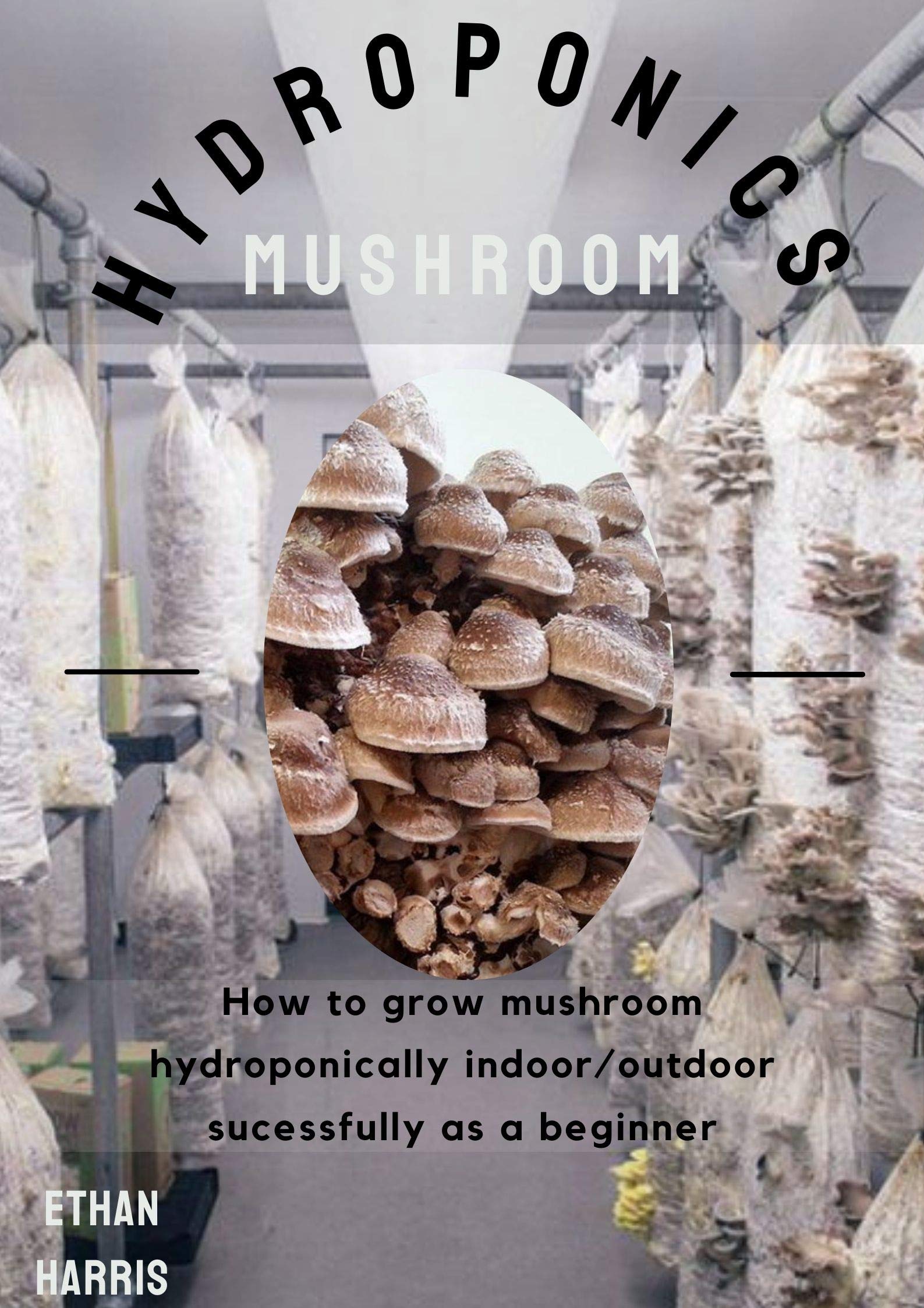 HYDROPONICS MUSHROOM How to grow mushroom hydroponically indoor