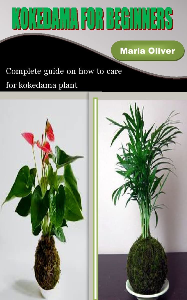 KOKEDAMA FOR BEGINNERS Complete guide on how to care for kokedama