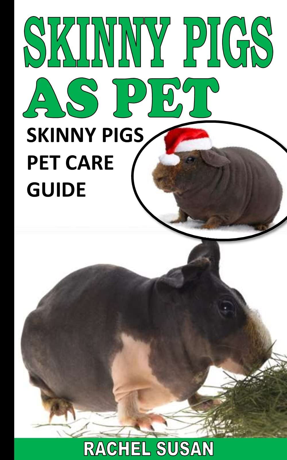SKINNY PIGS AS PET SKINNY PIGS PET CARE GUIDE by Rachel Susan Goodreads