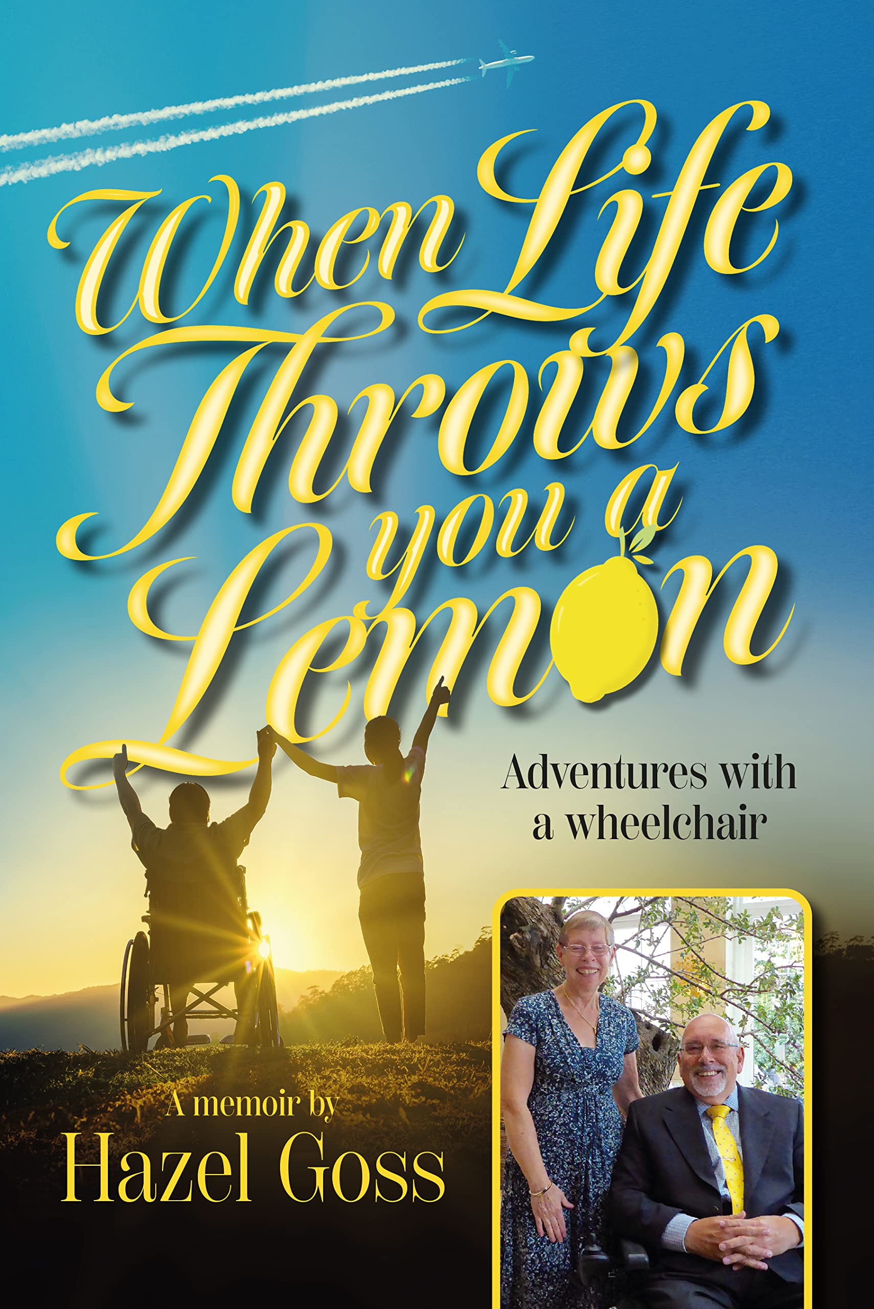When Life Throws You a Lemon Adventures with a wheelchair by Hazel