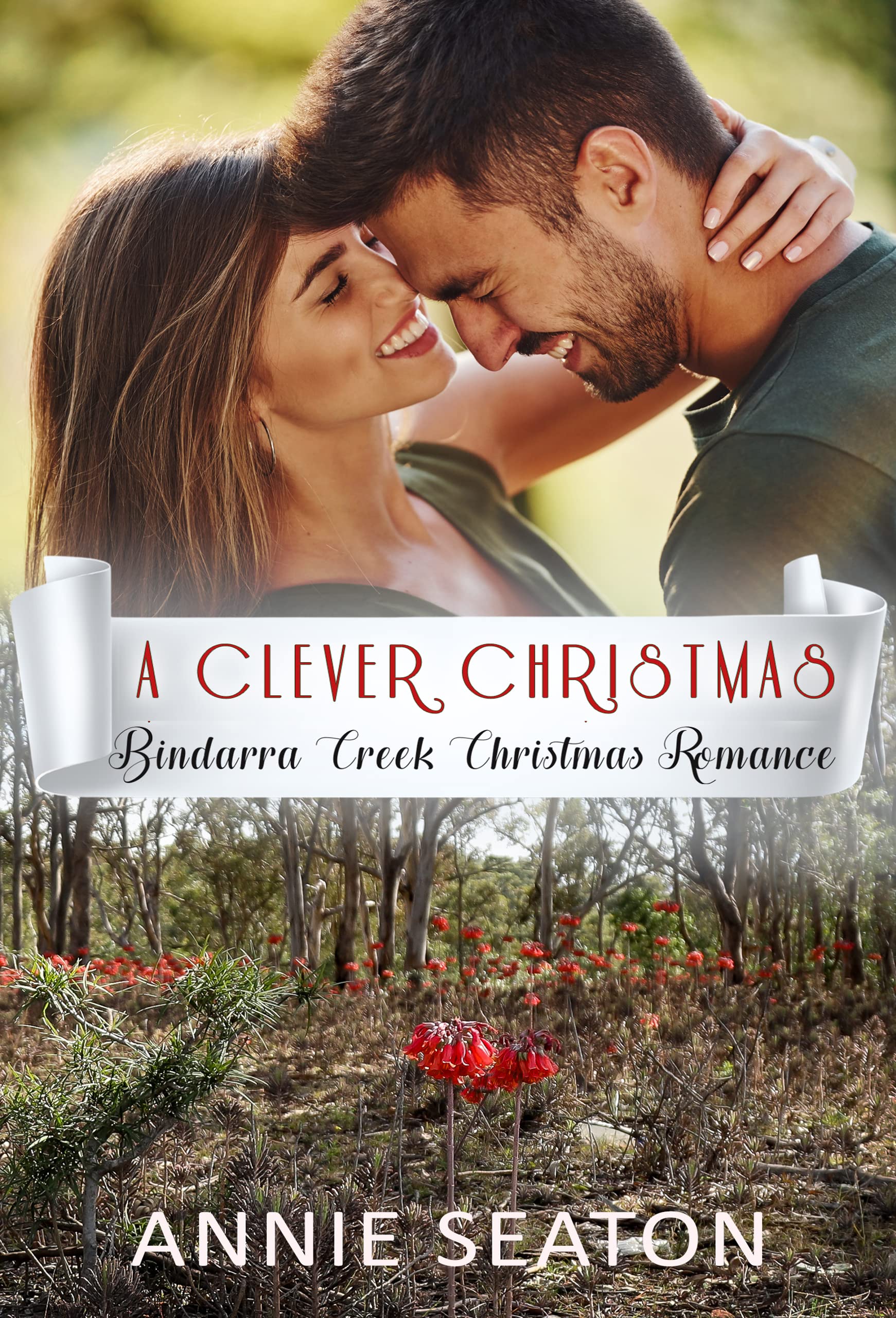 A Clever Christmas book cover