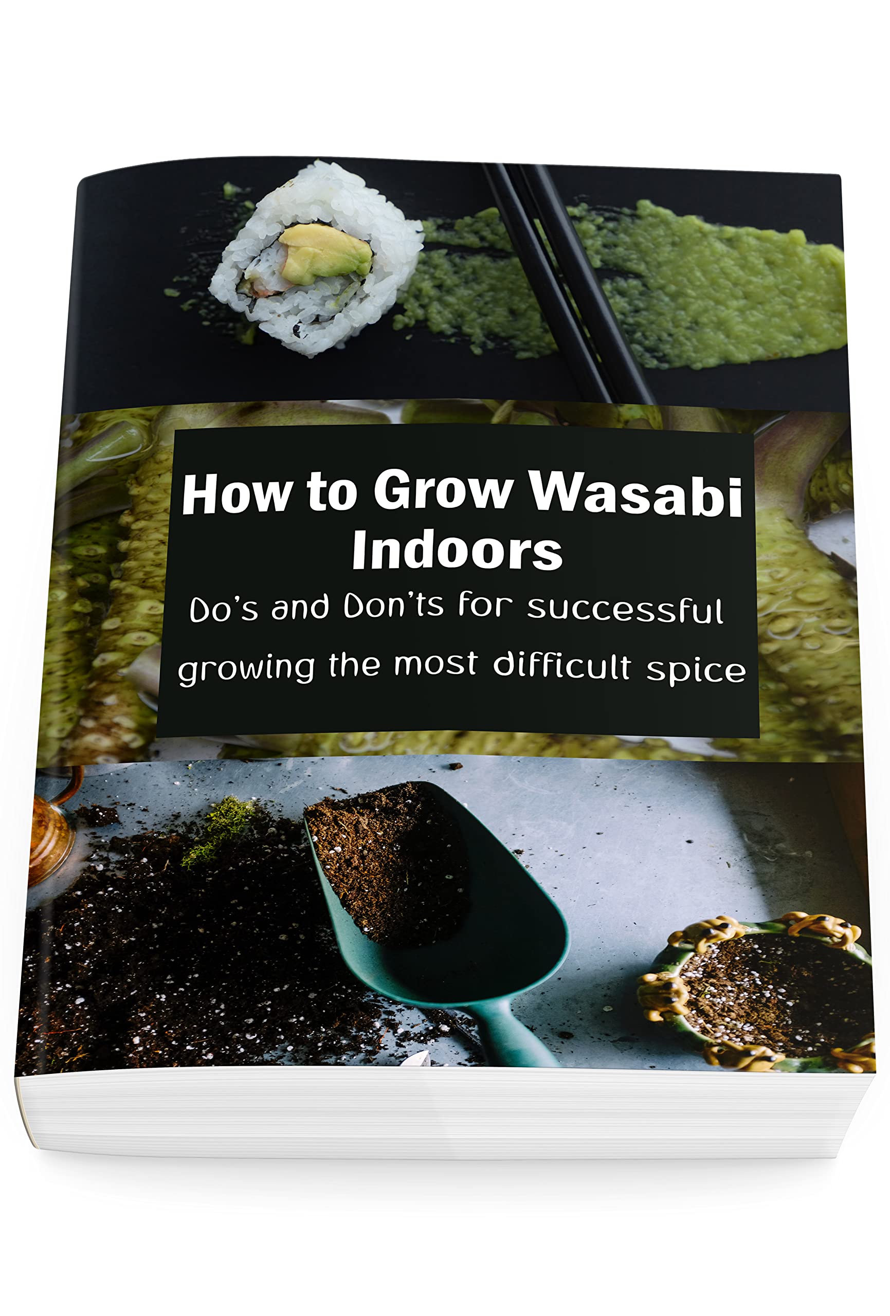 How to Grow Wasabi Indoors Do's and Don'ts for successful growing the