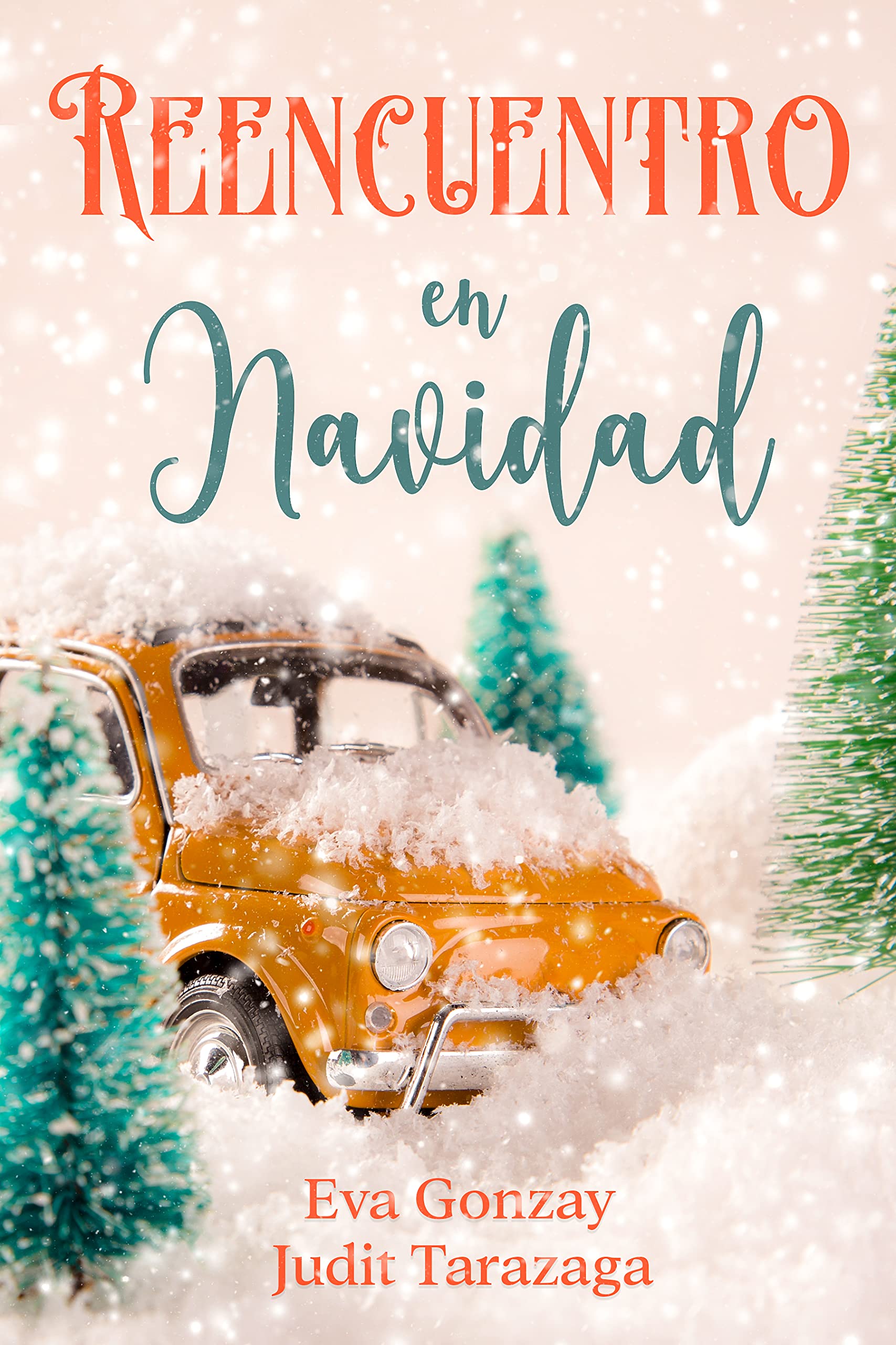 Reencuentro en Navidad