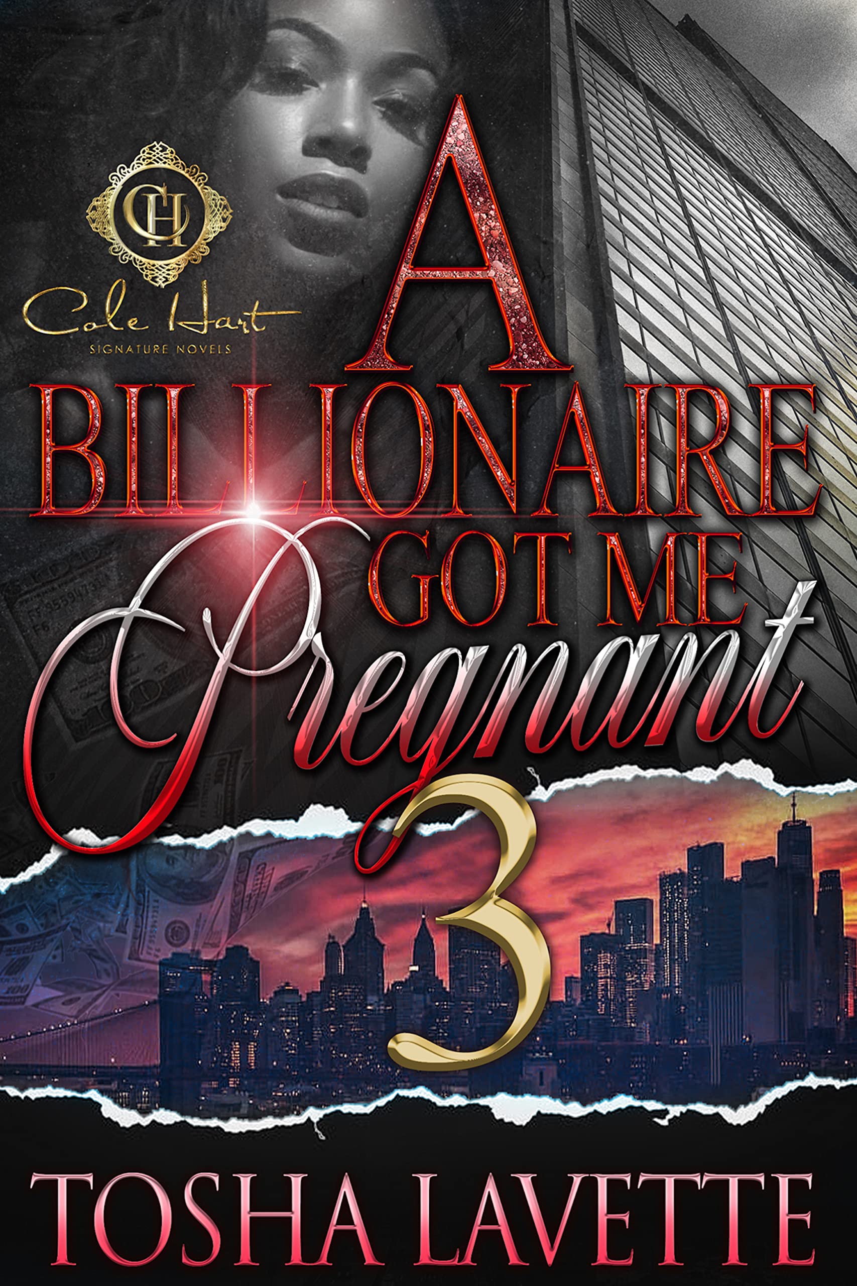 A Billionaire Got Me Pregnant 3 book cover