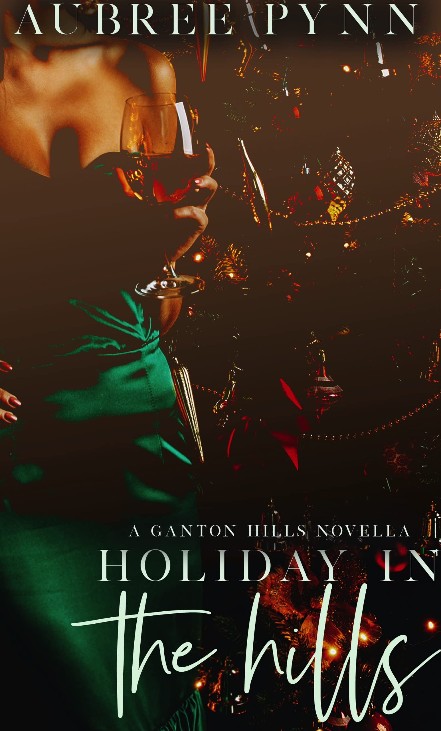 Holiday in the Hills book cover