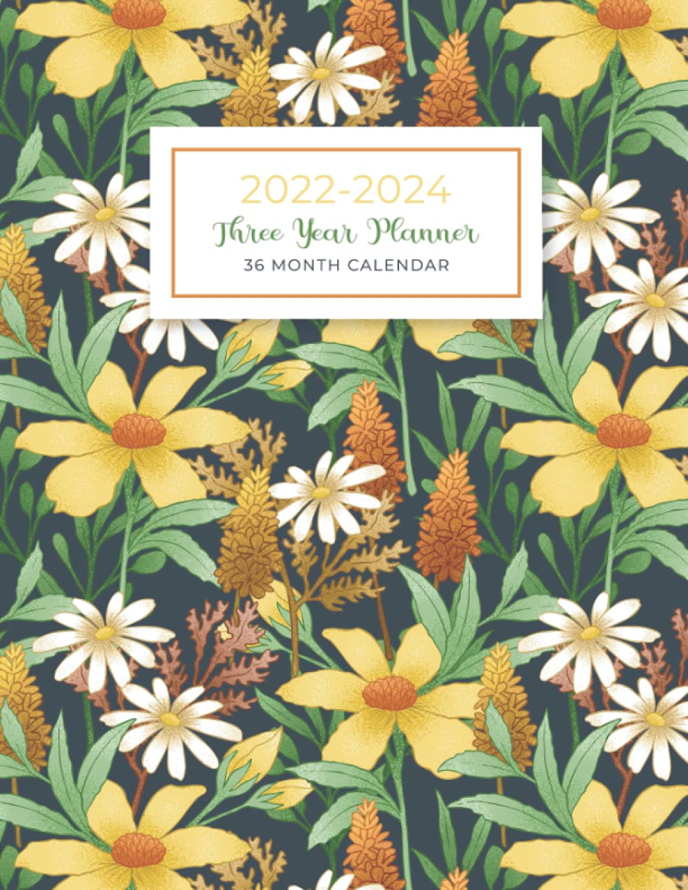 20222024 Three Year Planner 36 Month Calendar See It Bigger Monthly