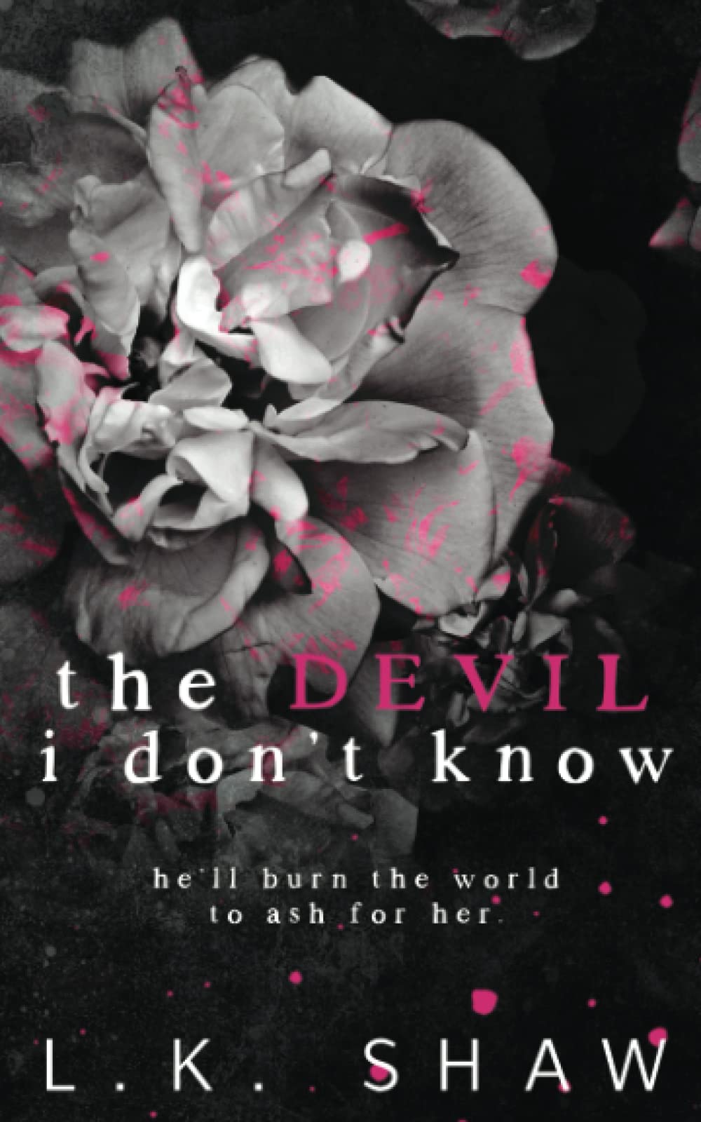The Devil I Don't Know (Brooklyn Kings)