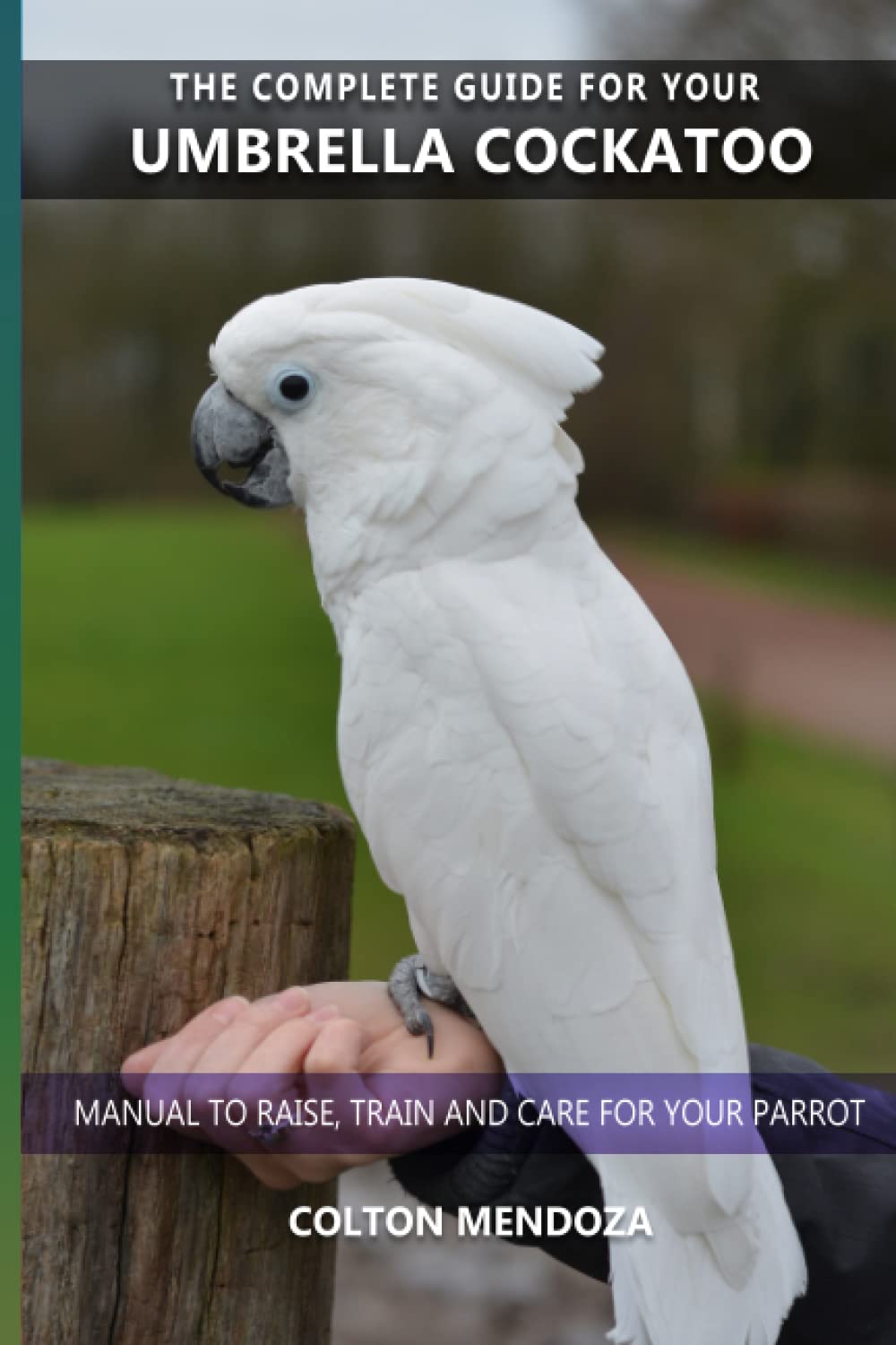 The complete guide for your Umbrella Cockatoo Manual to raise, train