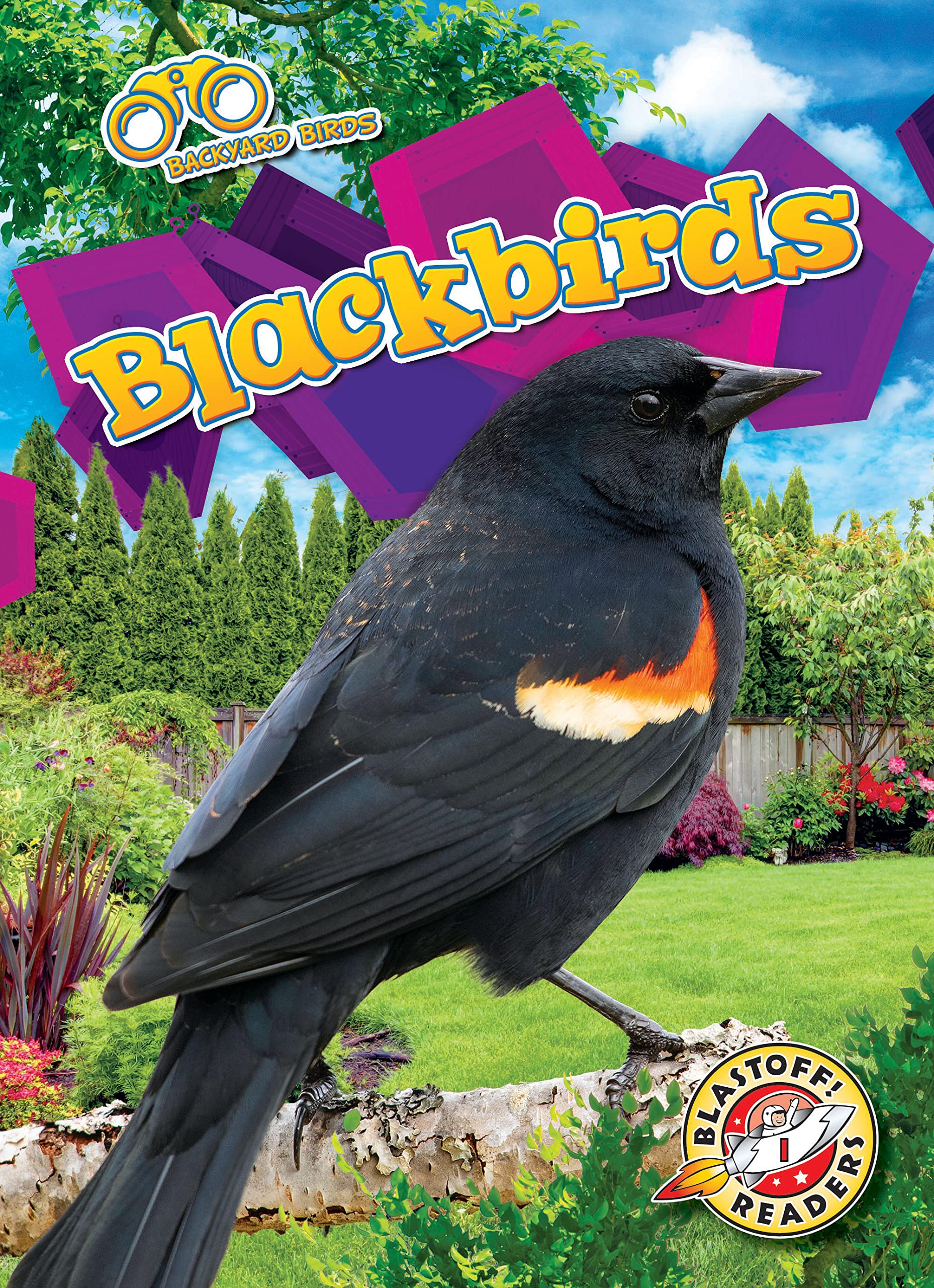 Blackbirds by Rachael Barnes Goodreads