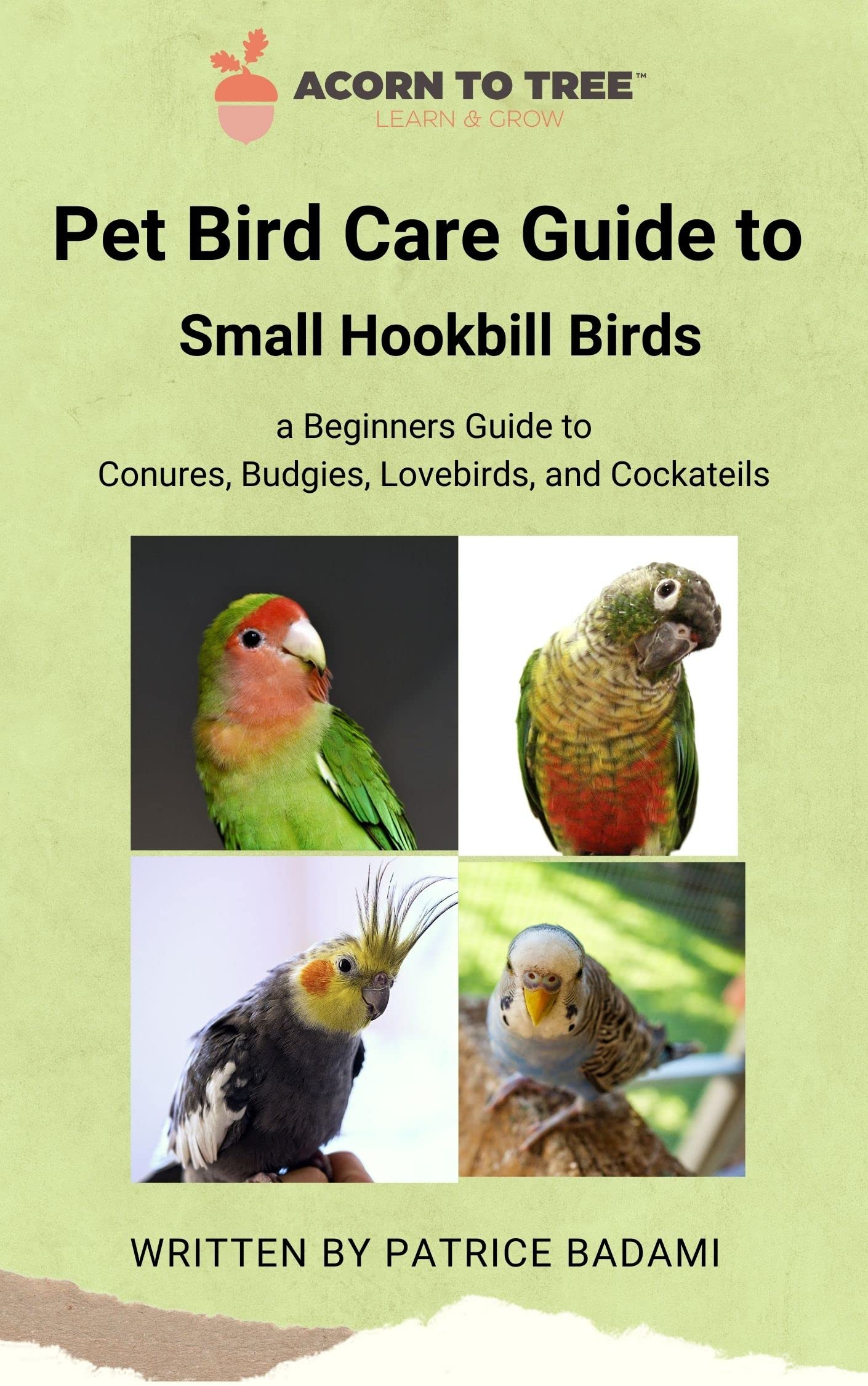 Pet Bird Care Guide Small Hookbill Birds A Beginners Guide to Conures