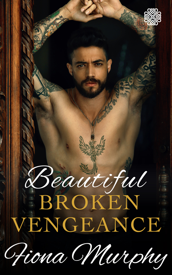 Beautiful Broken Vengeance book cover