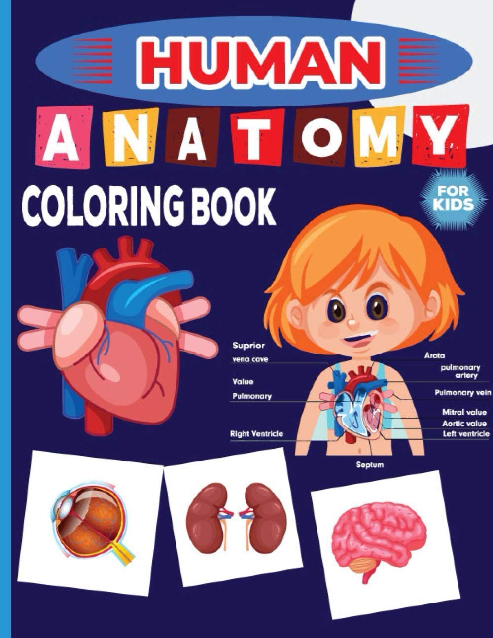 Human Anatomy Coloring Book For Kids human anatomy for drawing